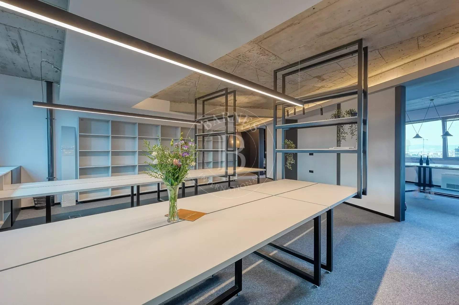 Sofia  - Bureaux 3 Pi&egrave;ces, 1 Chambre - picture 18