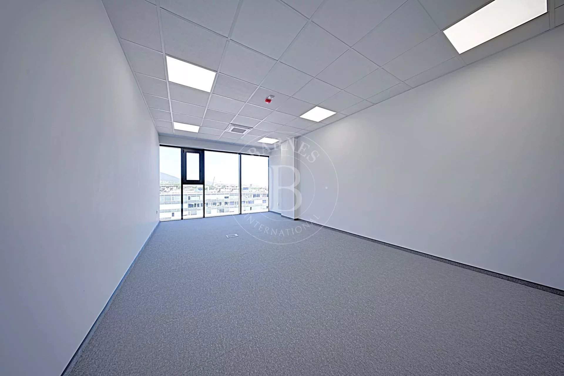 Sofia  - Bureaux  - picture 9