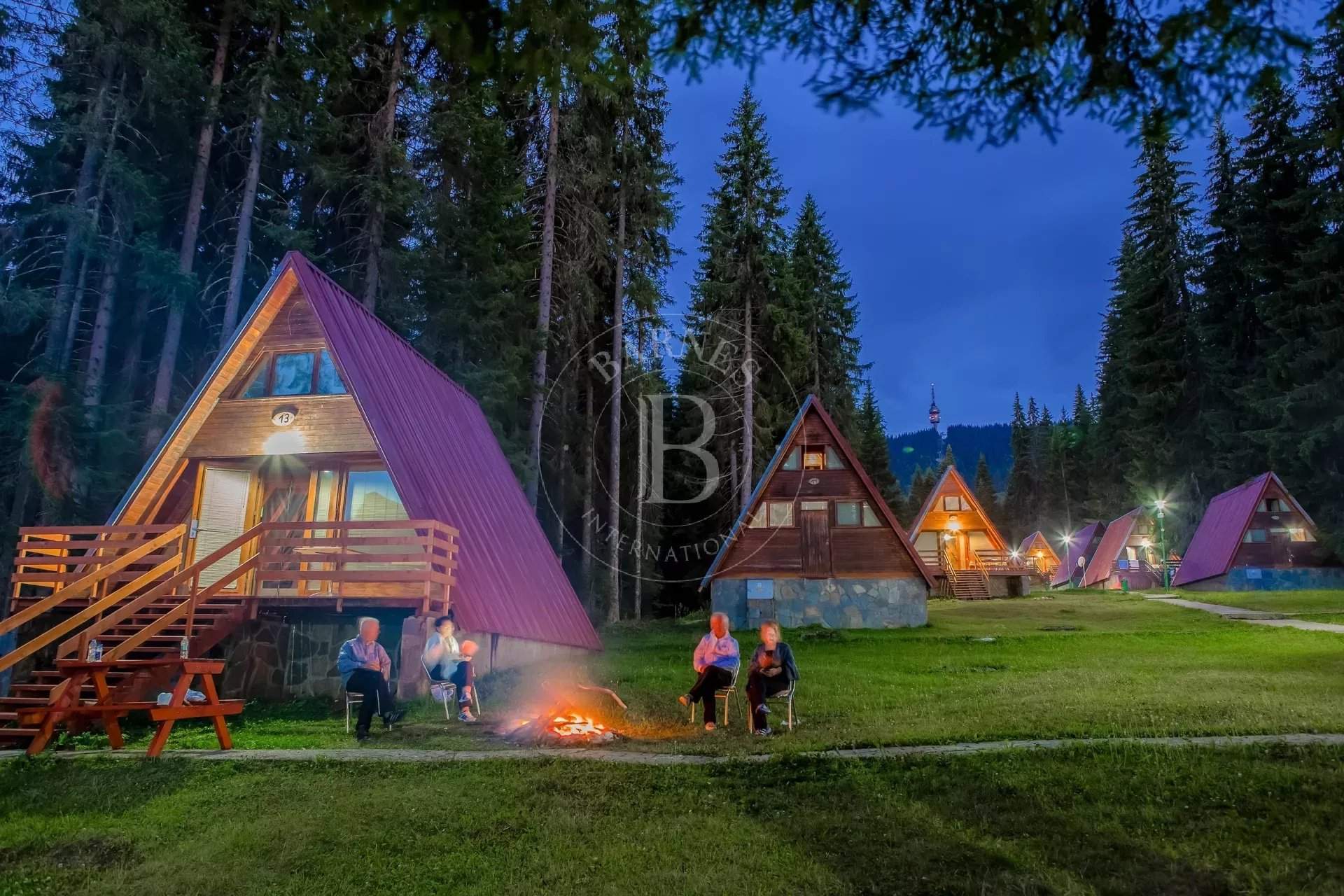 Pamporovo  - Business  - picture 12