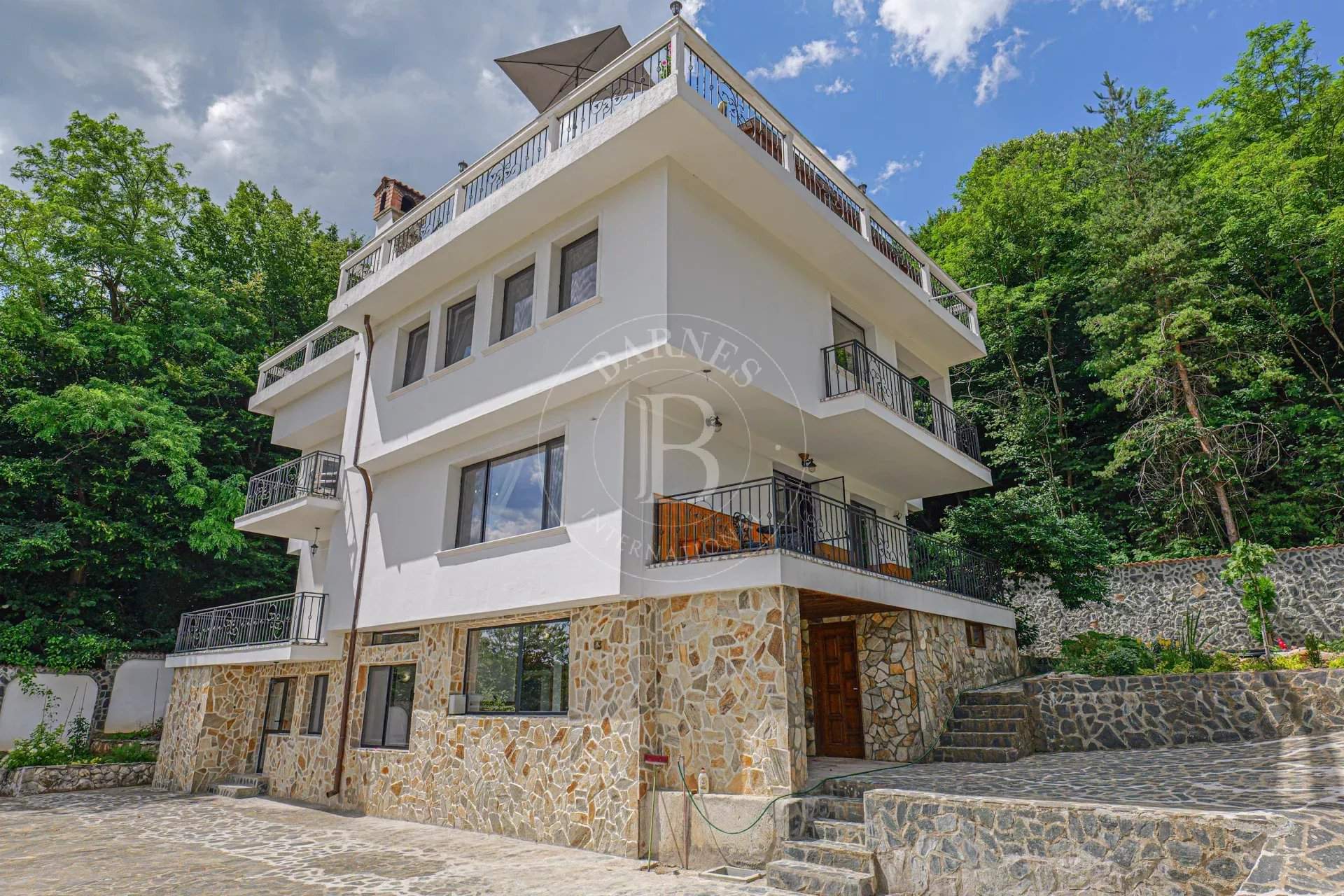 Pravets  - Mansion 1 Bedroom - picture 13