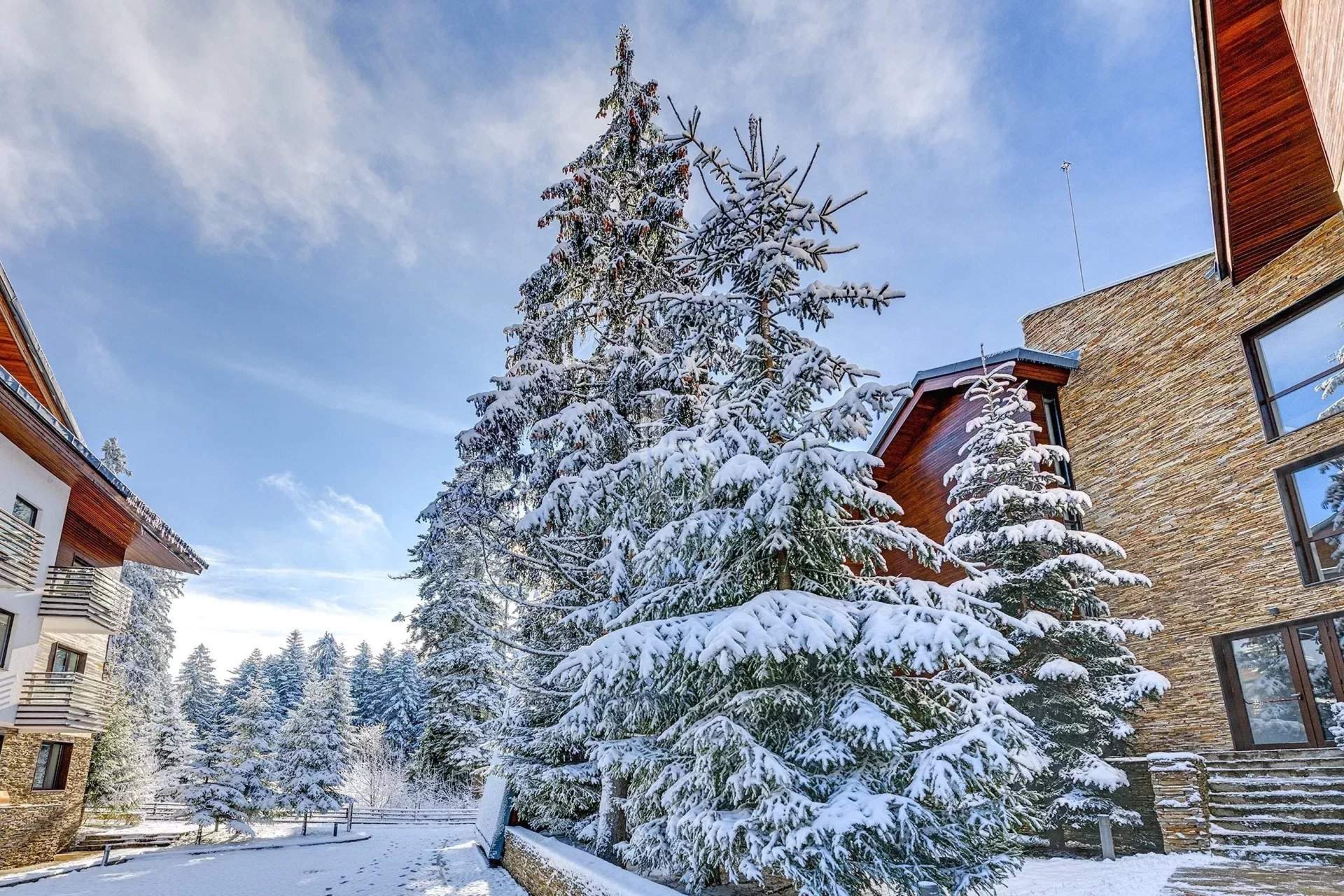 Borovets  - Appartement 2 Pi&egrave;ces, 1 Chambre - picture 13