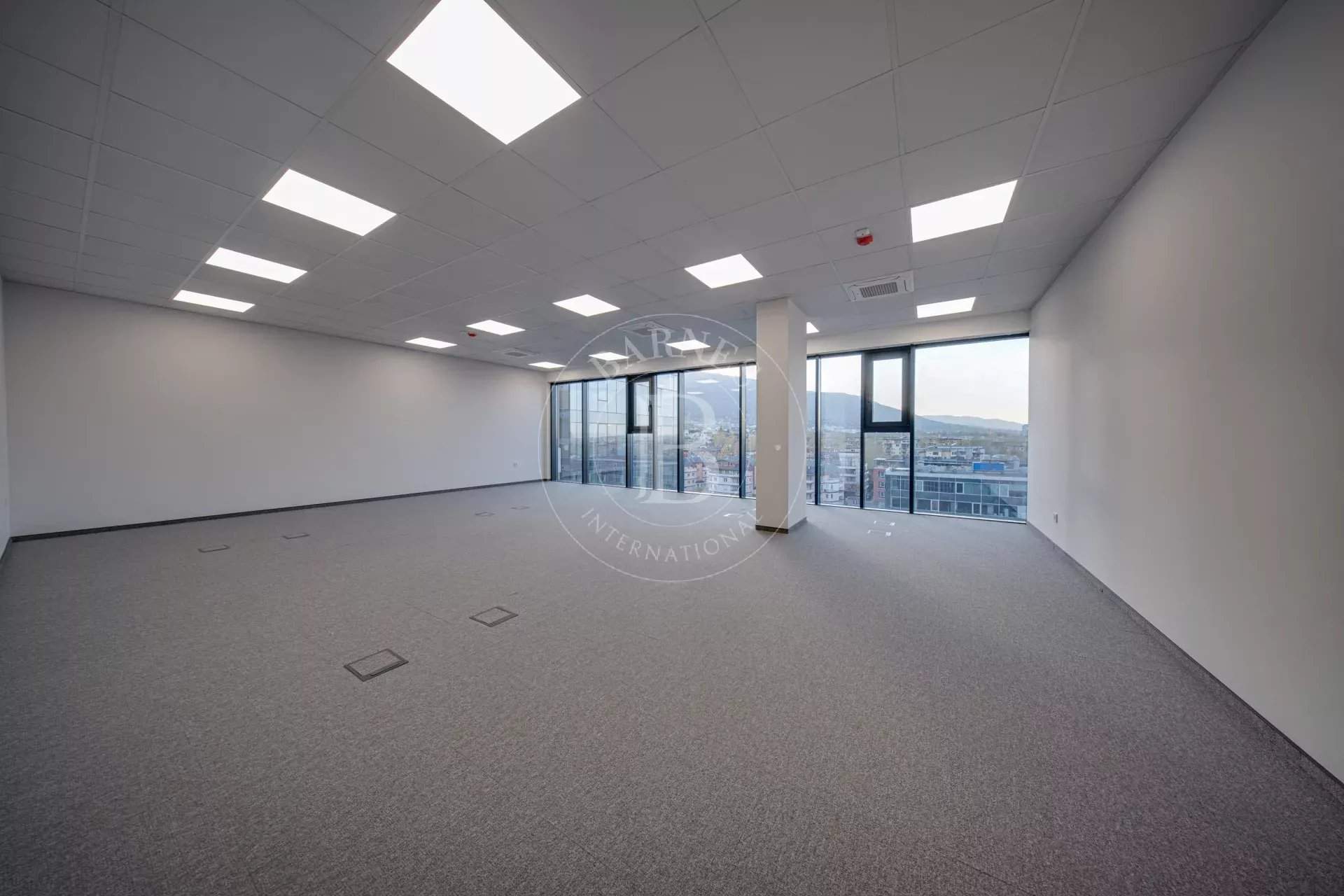 Sofia  - Bureaux  - picture 5