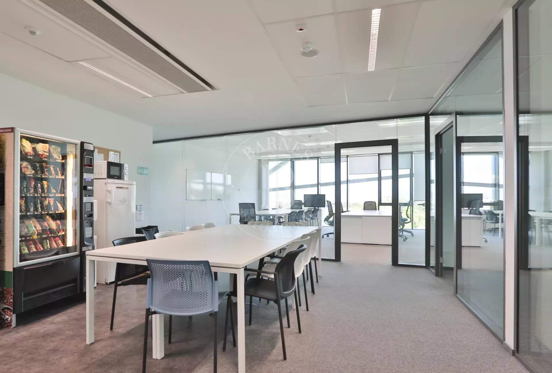 Sofia  - Offices  - picture 6