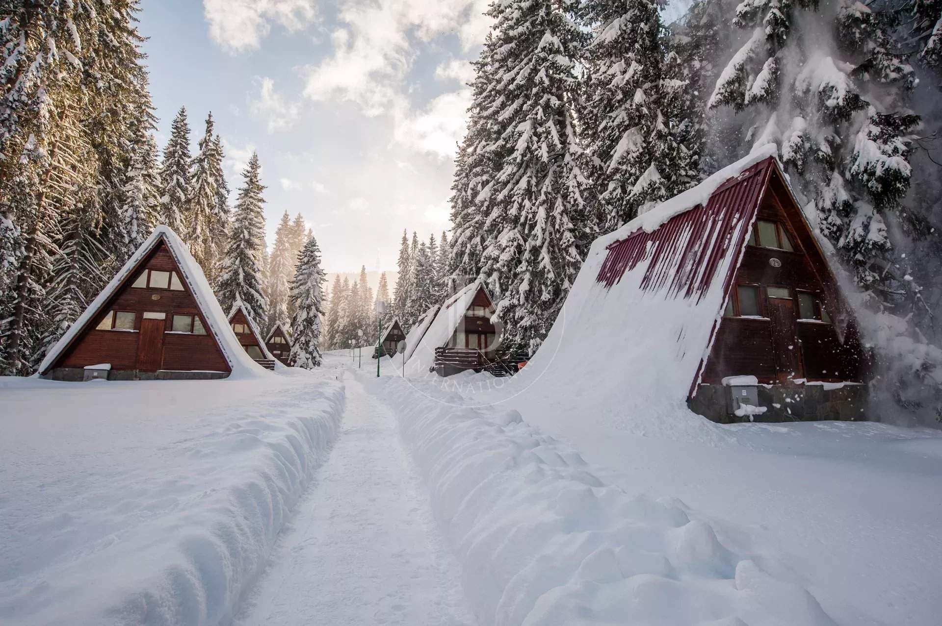 Pamporovo  - Business  - picture 16