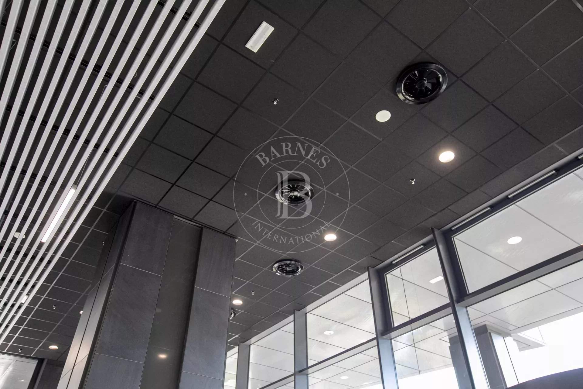 Sofia  - Bureaux 10 Pièces - picture 2