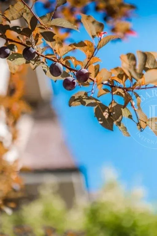 Burgas  - Piso  - picture 4