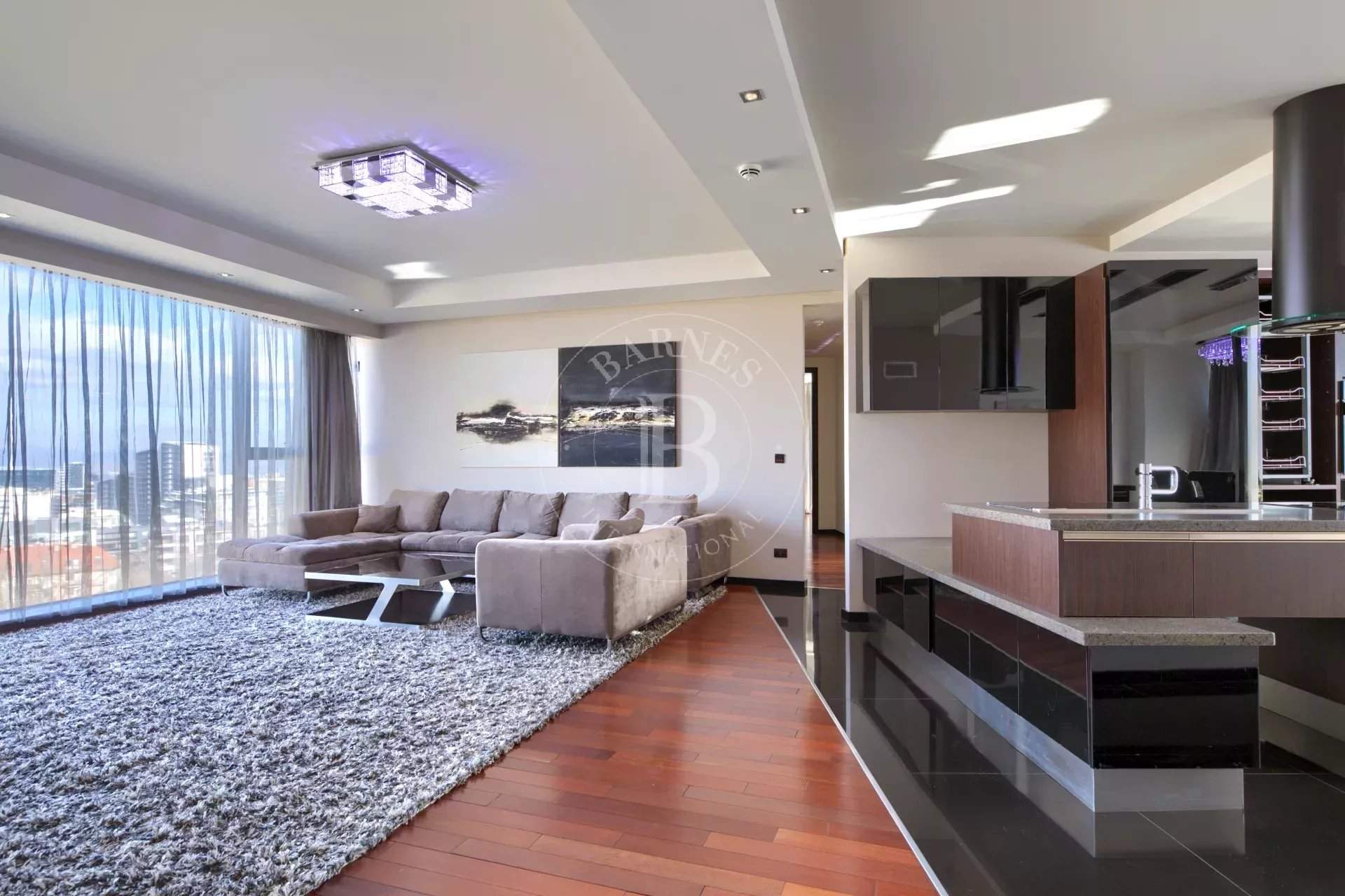 Sofia  - Piso 3 Cuartos 2 Habitaciones - picture 3