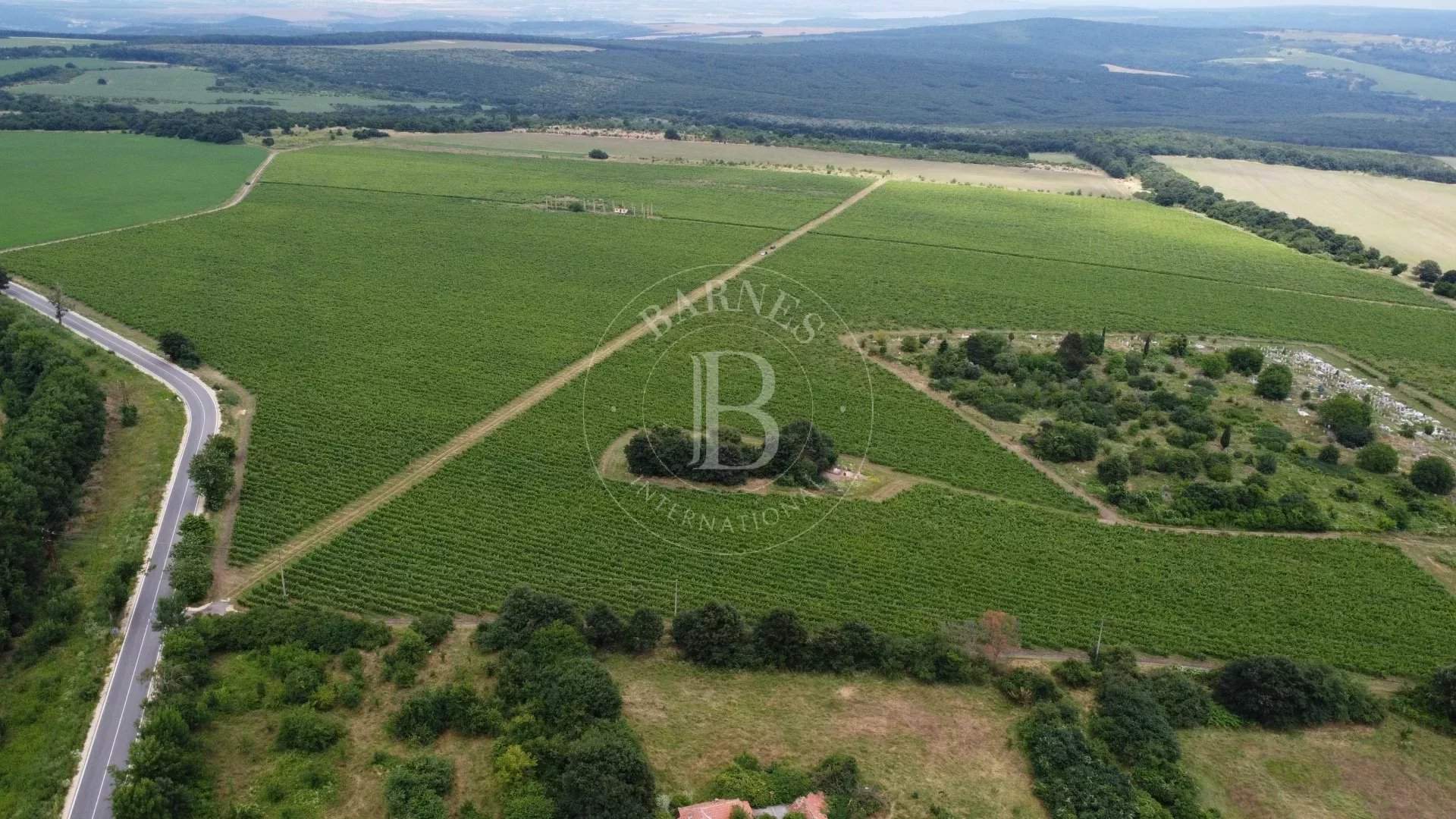 Varna  - Agricultural exploitation  - picture 1