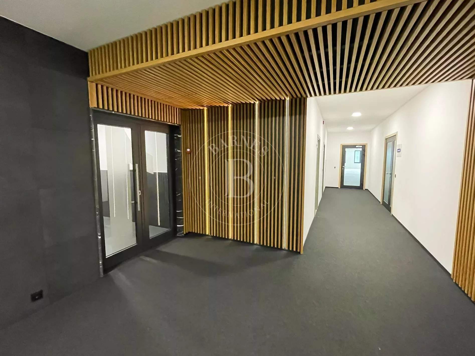 Sofia  - Offices  - picture 16