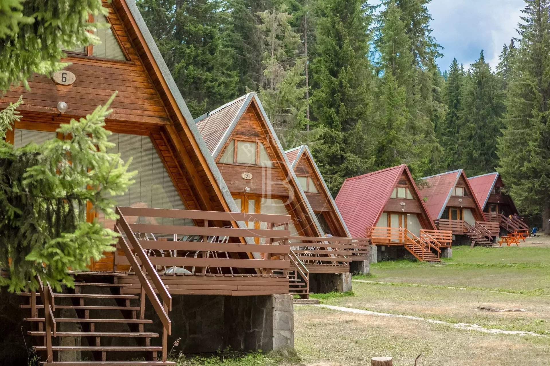 Pamporovo  - Business  - picture 6