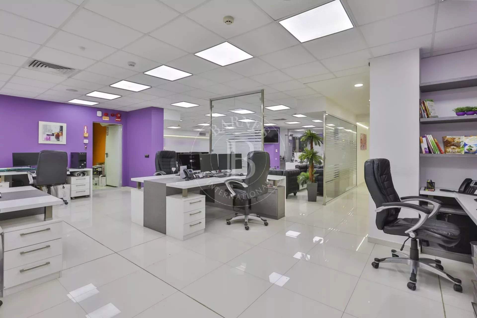 Sofia  - Offices  - picture 6