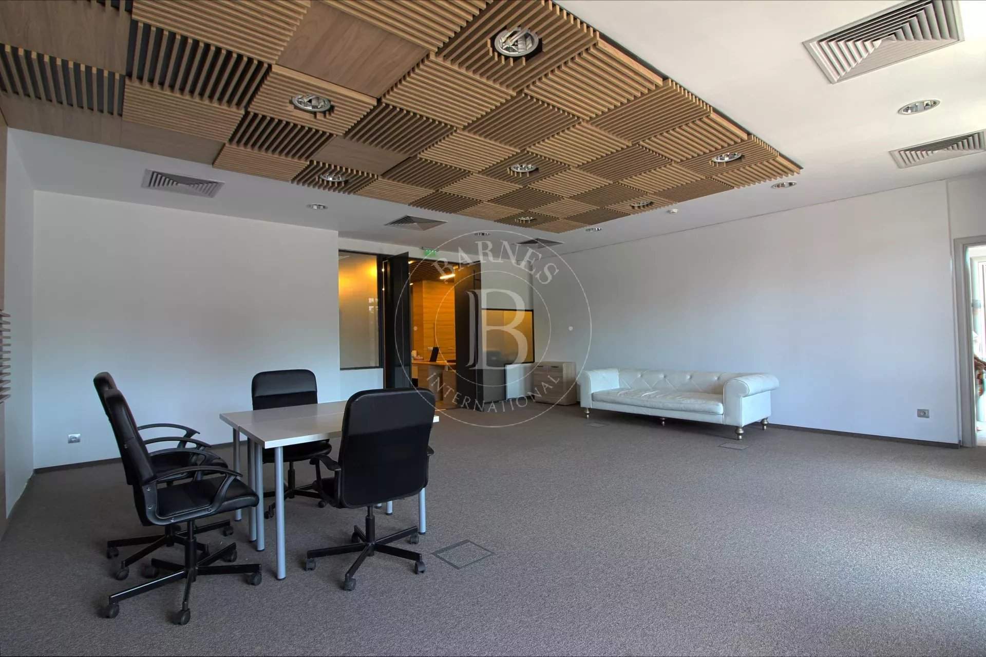 Sofia  - Offices  - picture 10