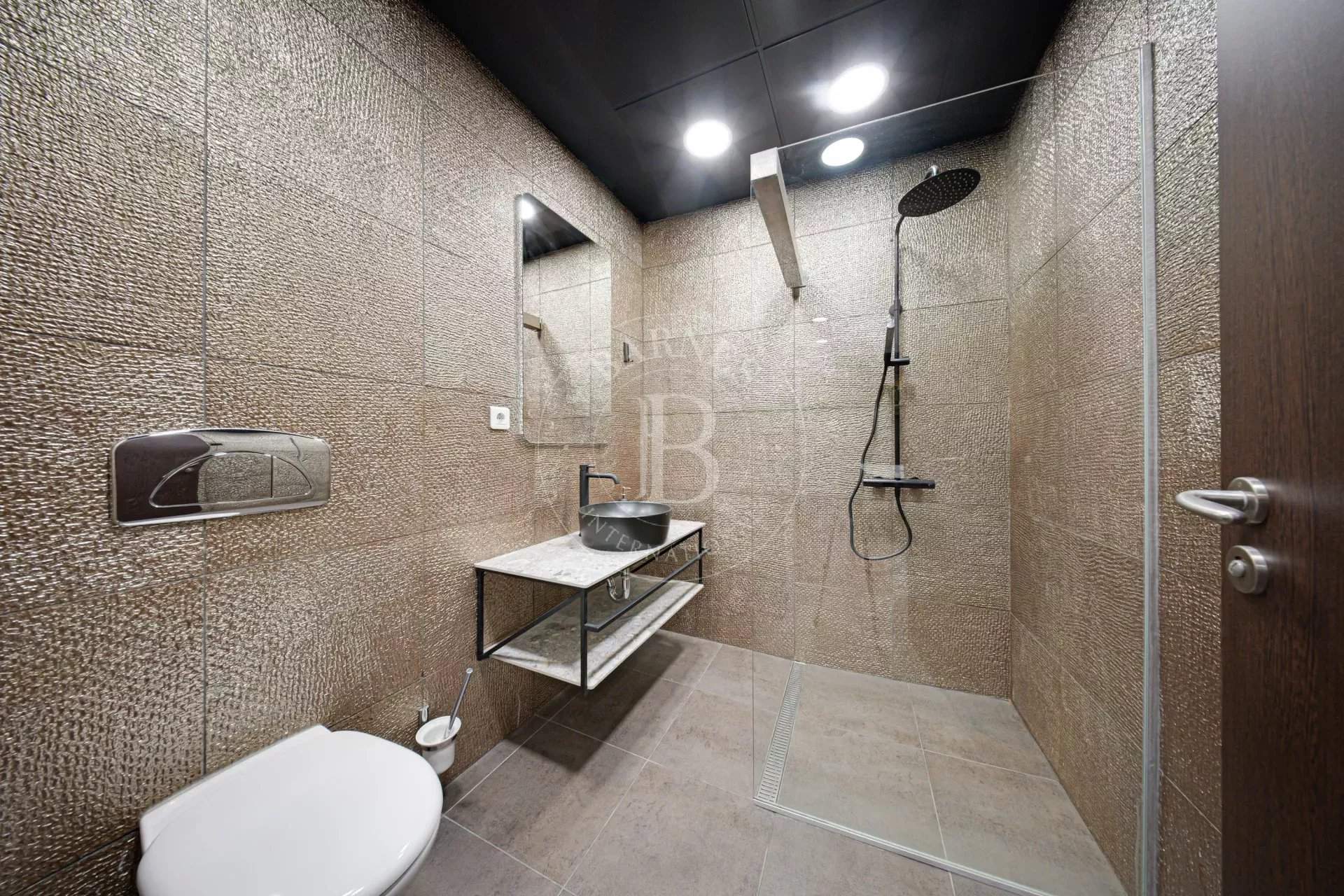 Sofia  - Apartment 1 Bedroom - picture 12