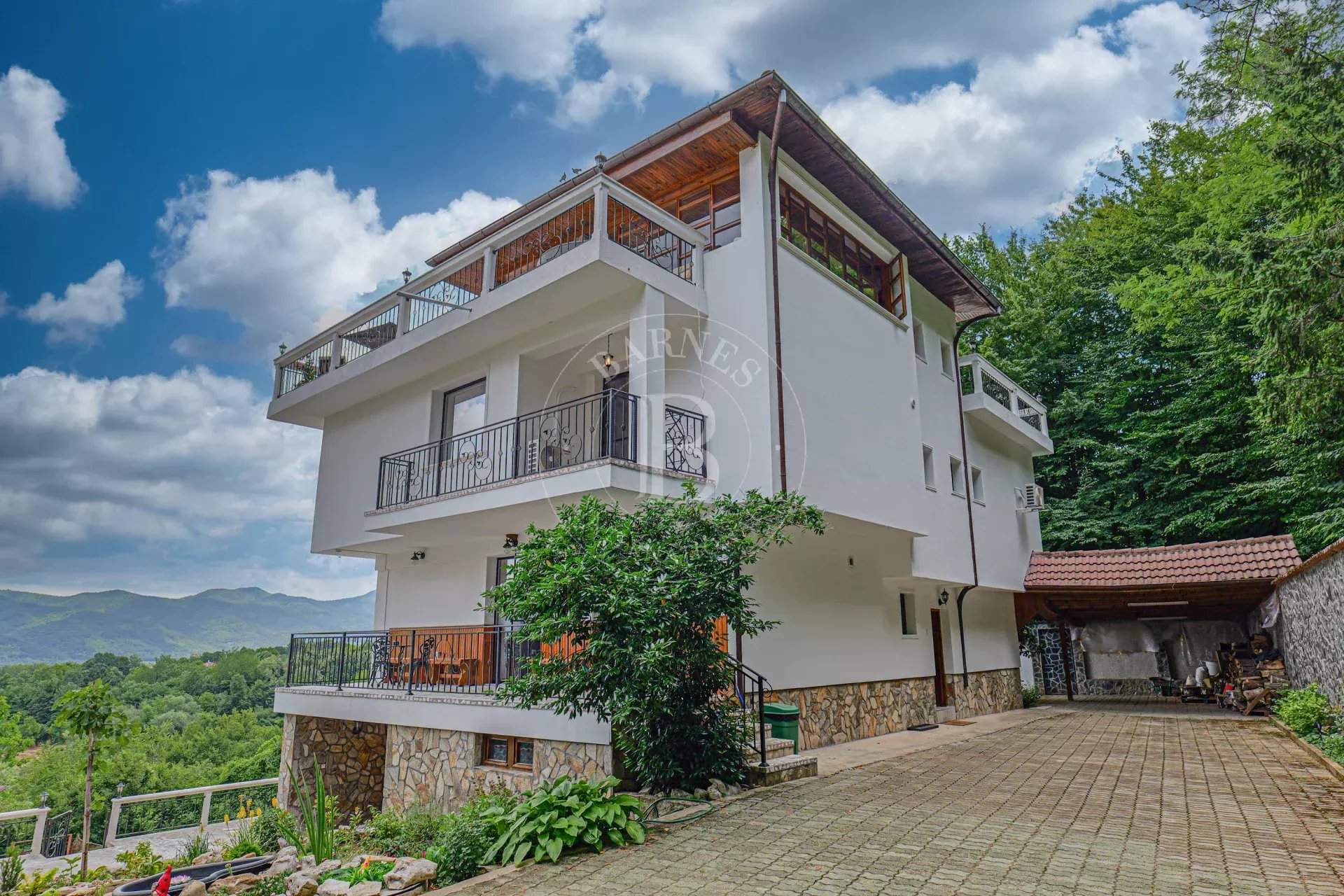 Pravets  - Mansion 1 Bedroom - picture 11