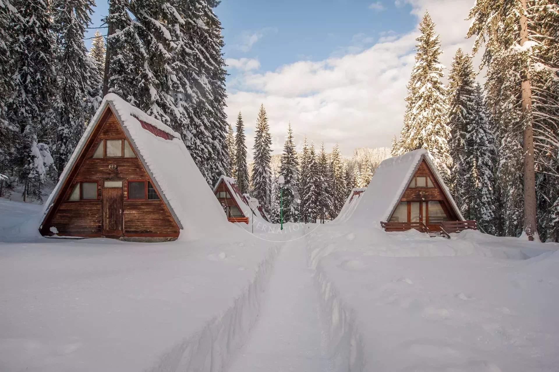 Pamporovo  - Business  - picture 13