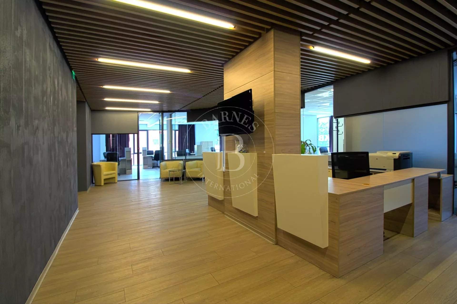 Sofia  - Offices  - picture 15