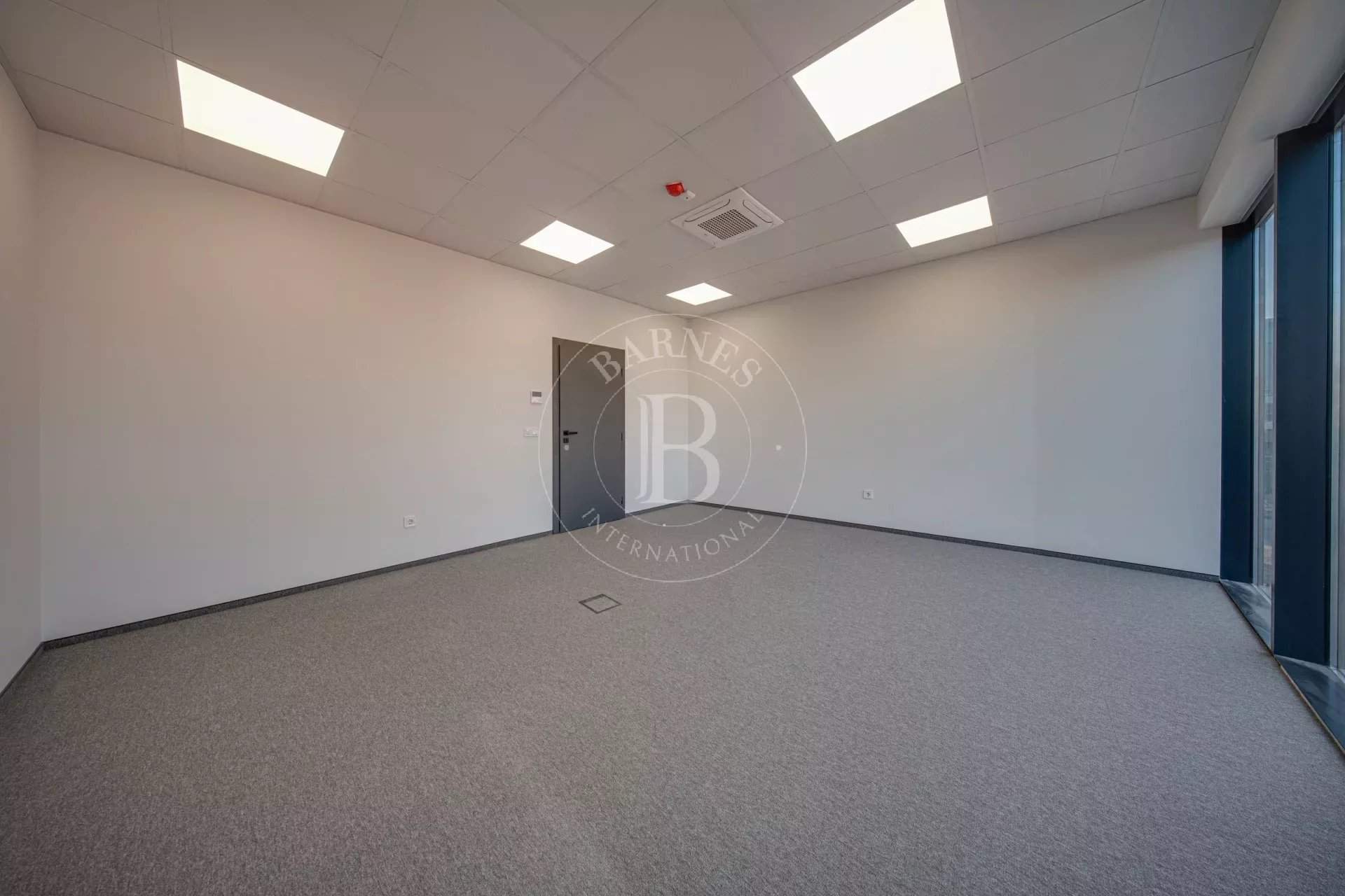 Sofia  - Bureaux  - picture 8