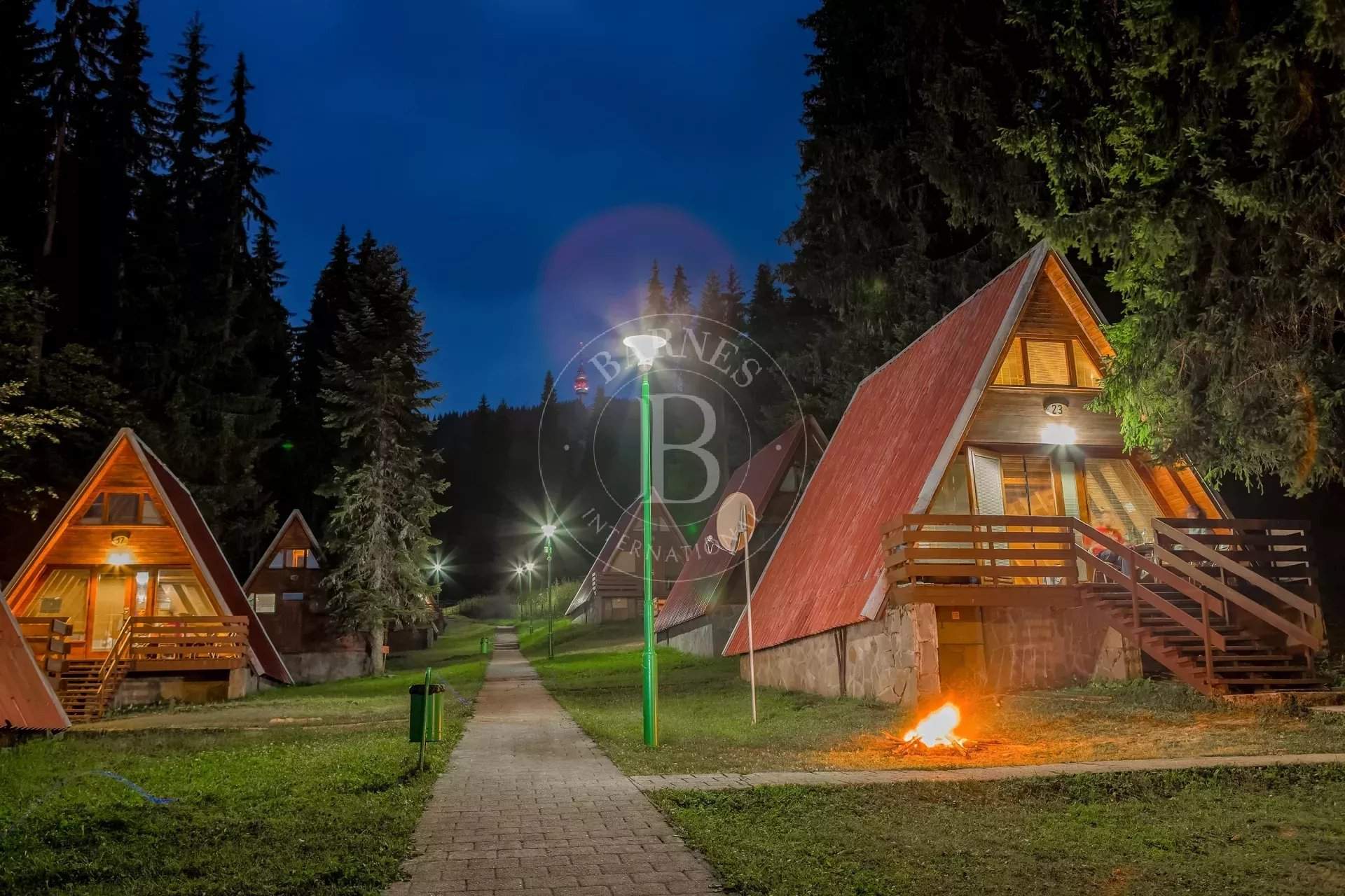 Pamporovo  - Business  - picture 17