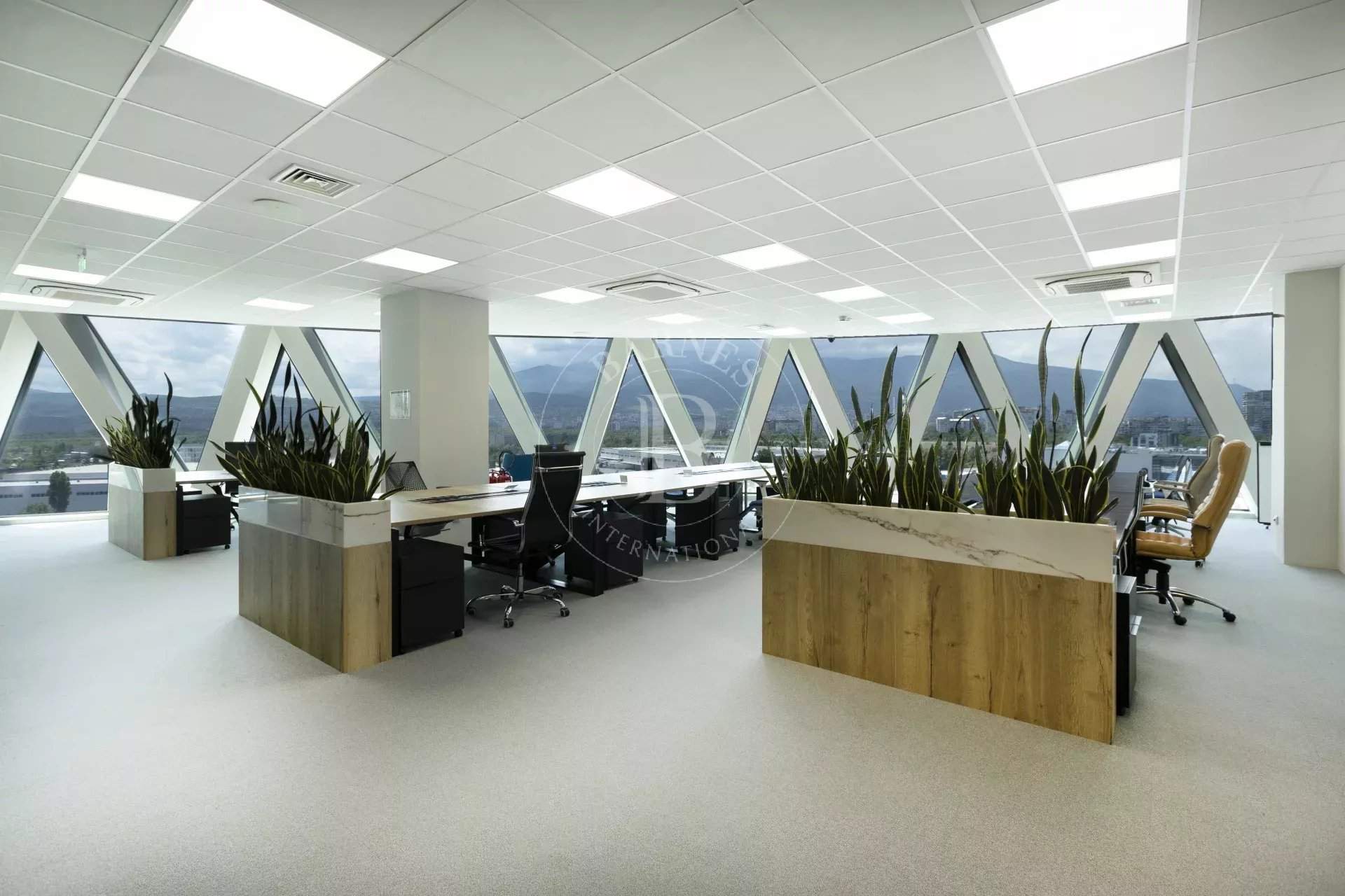 Sofia  - Offices  - picture 2