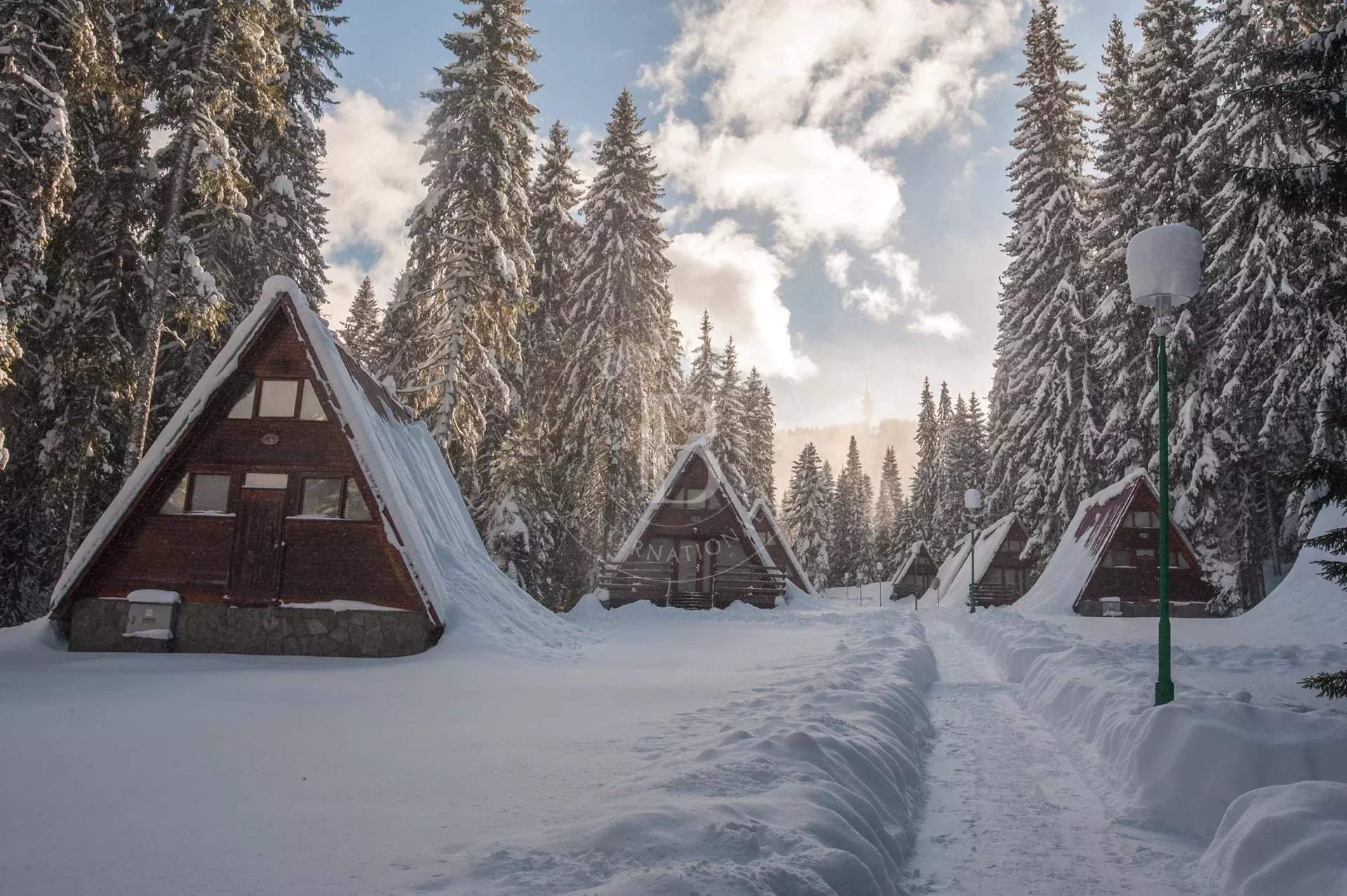 Pamporovo  - Business  - picture 15