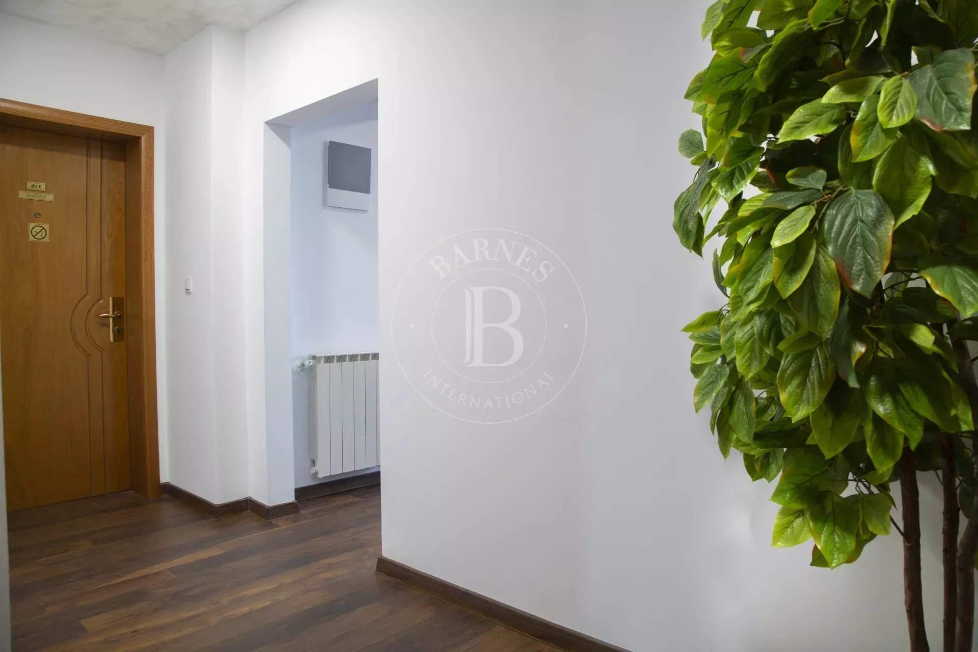 Sofia  - Apartment 4 Bedrooms - picture 14