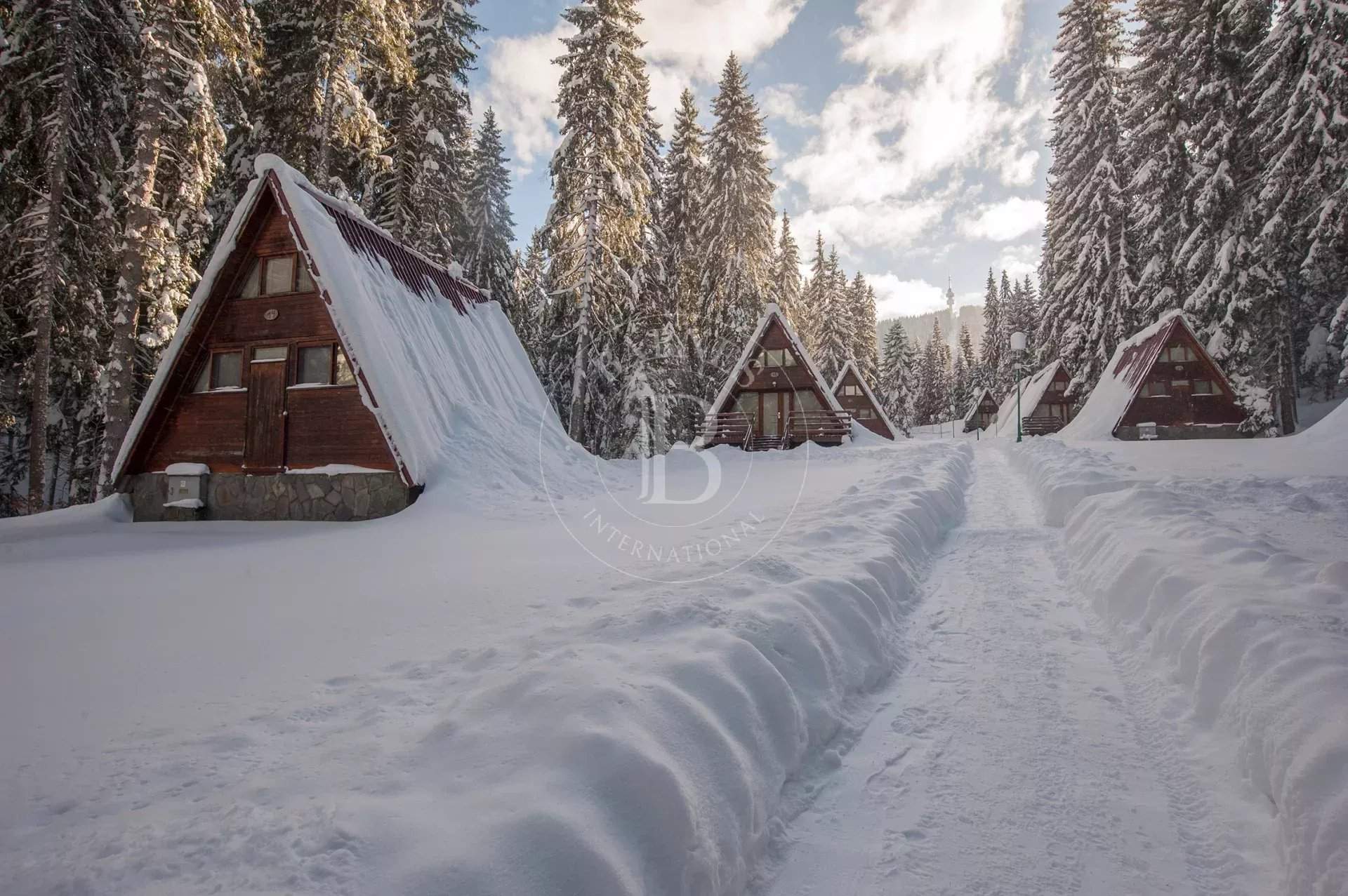 Pamporovo  - Business  - picture 5