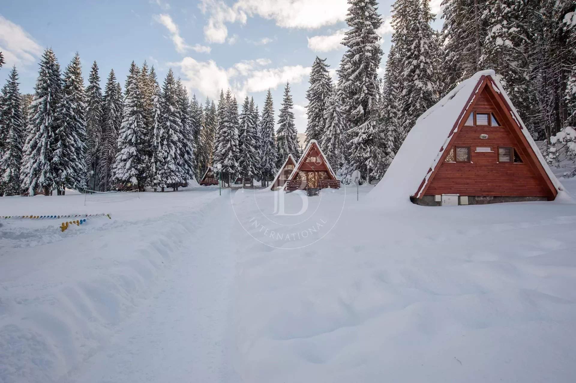 Pamporovo  - Business  - picture 18