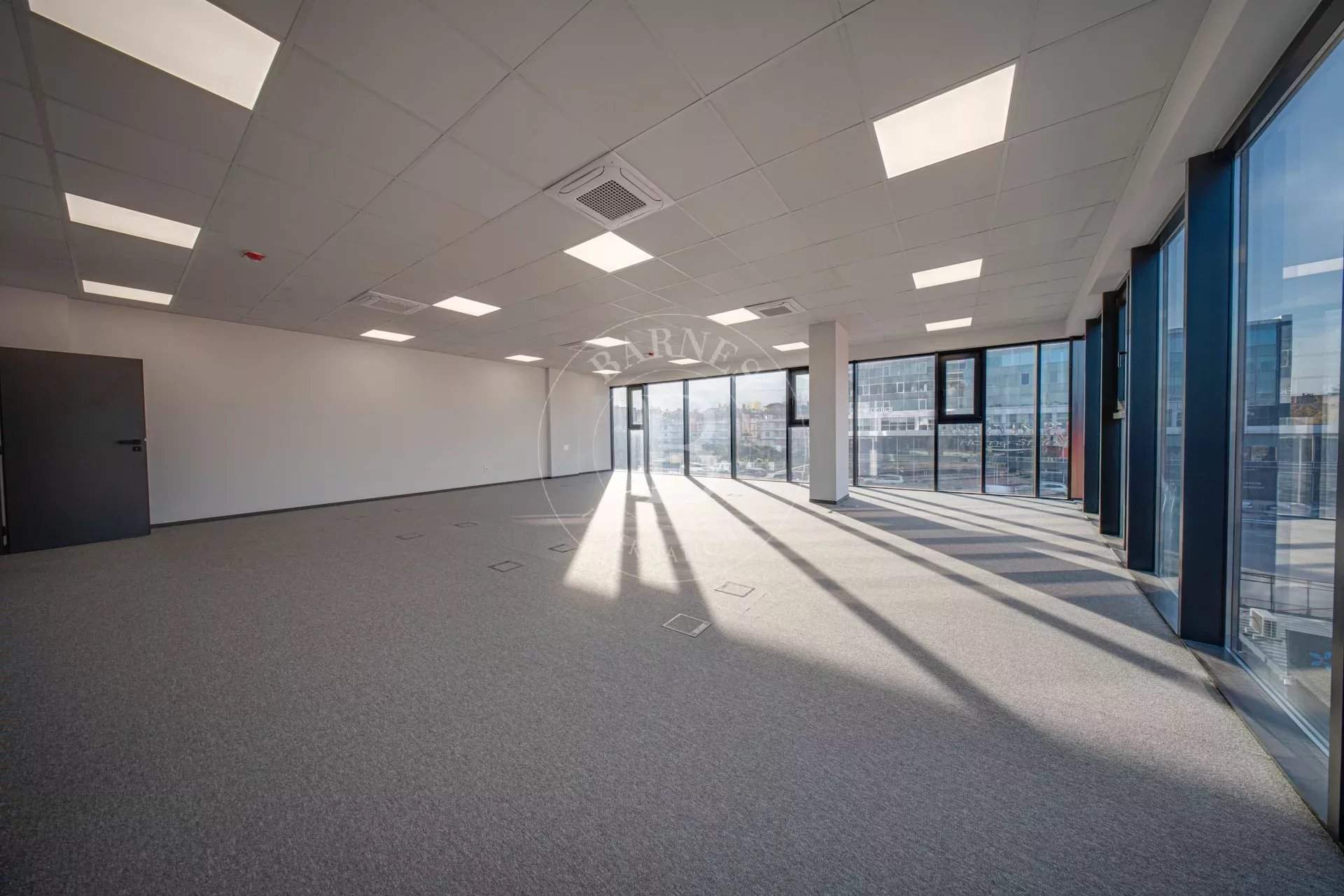 Sofia  - Bureaux  - picture 5