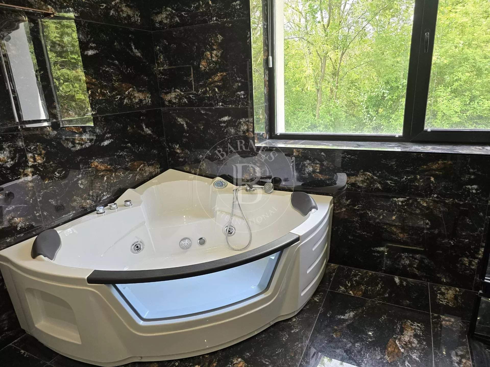 Dragichevo  - House 2 Bedrooms - picture 5