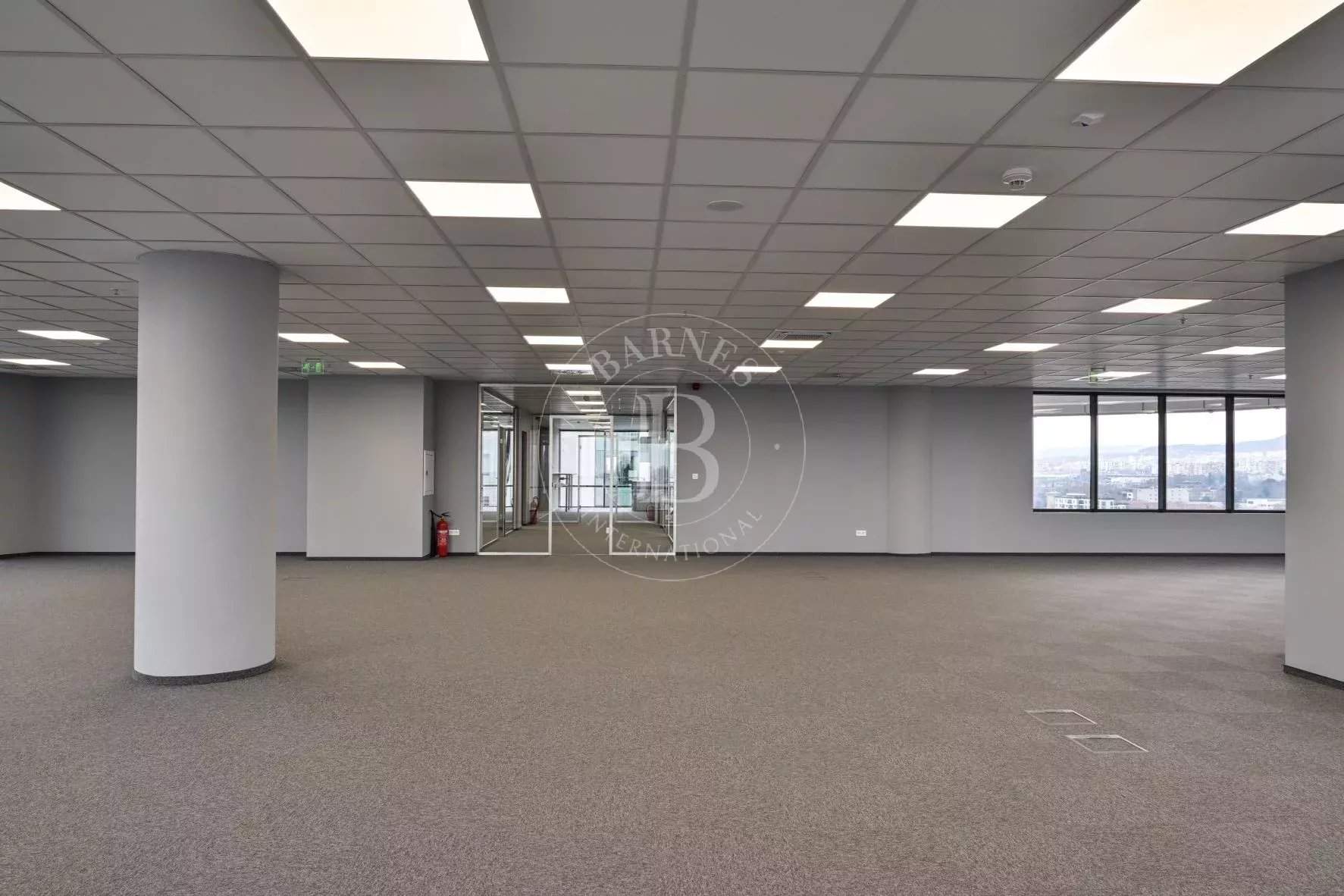 Varna  - Oficinas  - picture 9