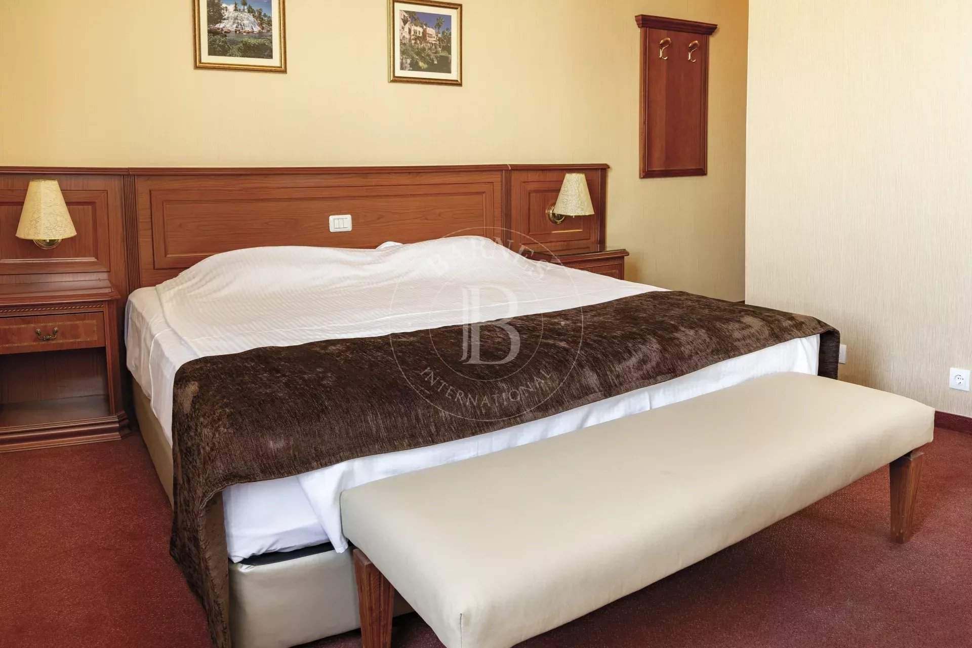 Sofia  - Apartment 4 Bedrooms - picture 11