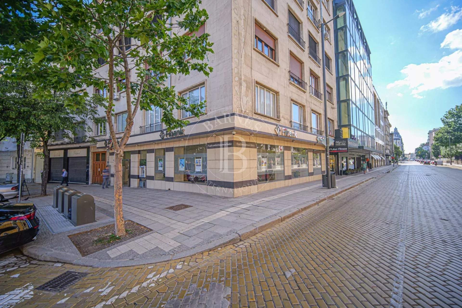 Sofia  - Offices  - picture 6