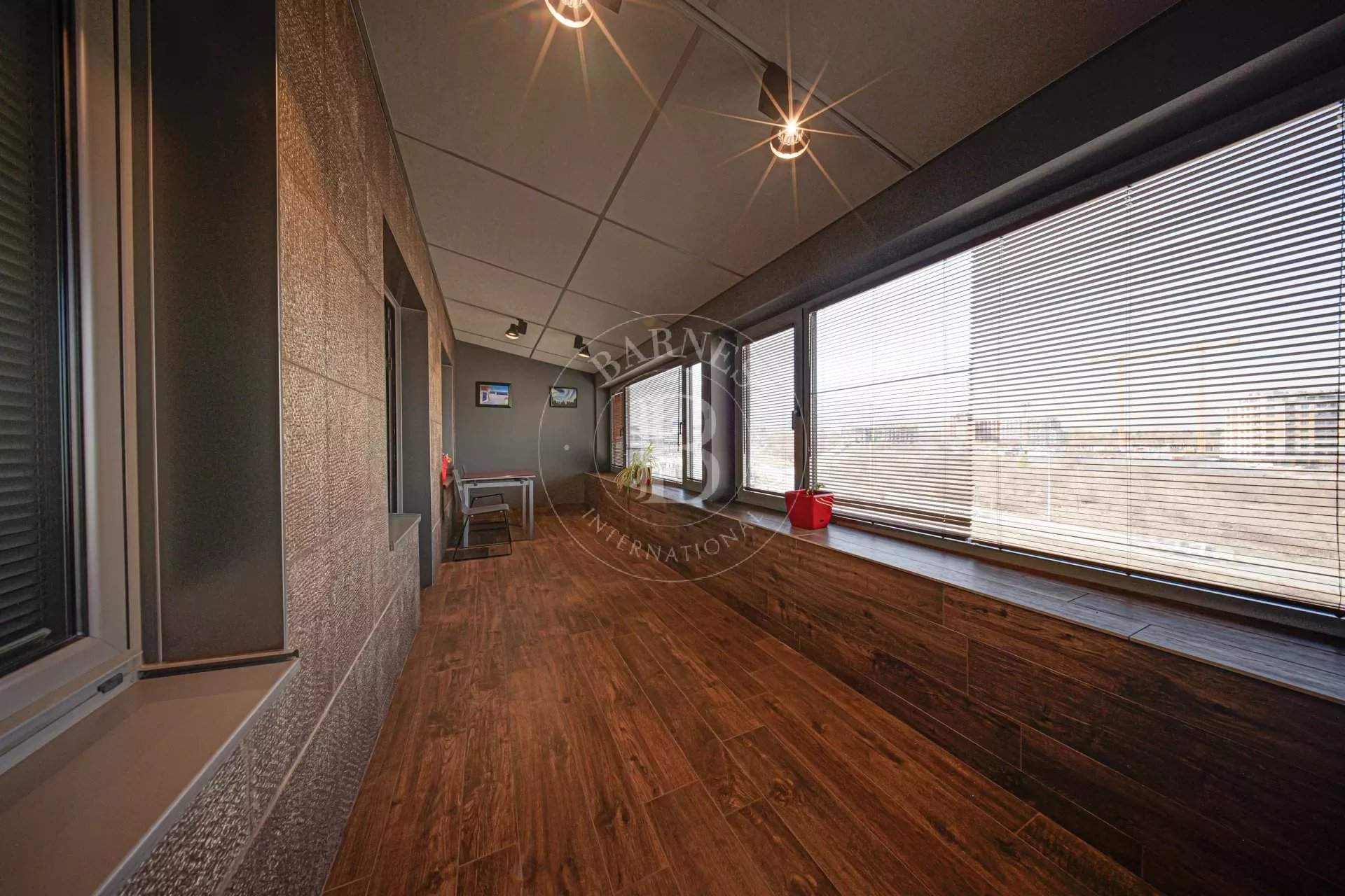 Sofia  - Apartment 1 Bedroom - picture 15