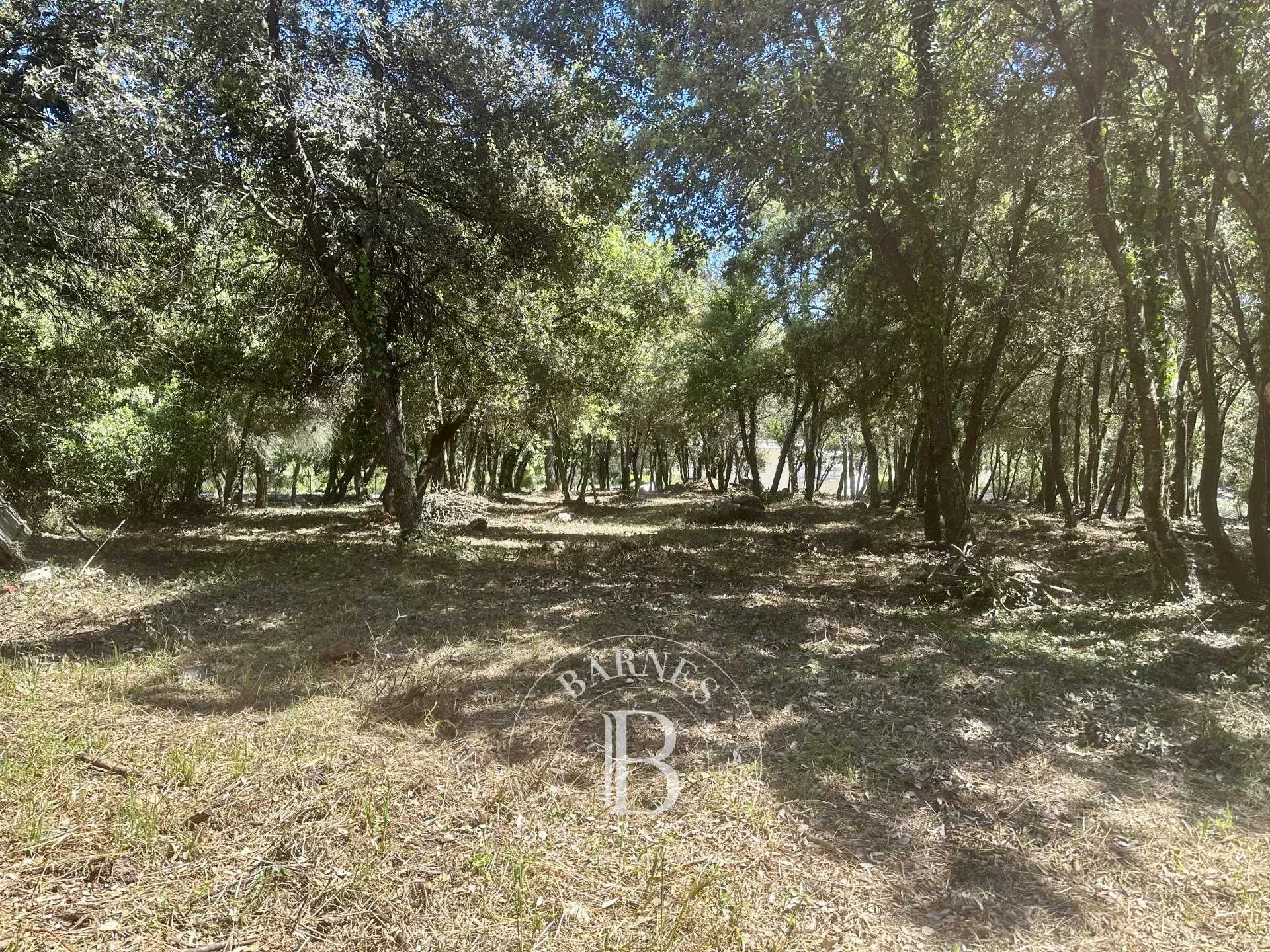Biot  - Building land 
