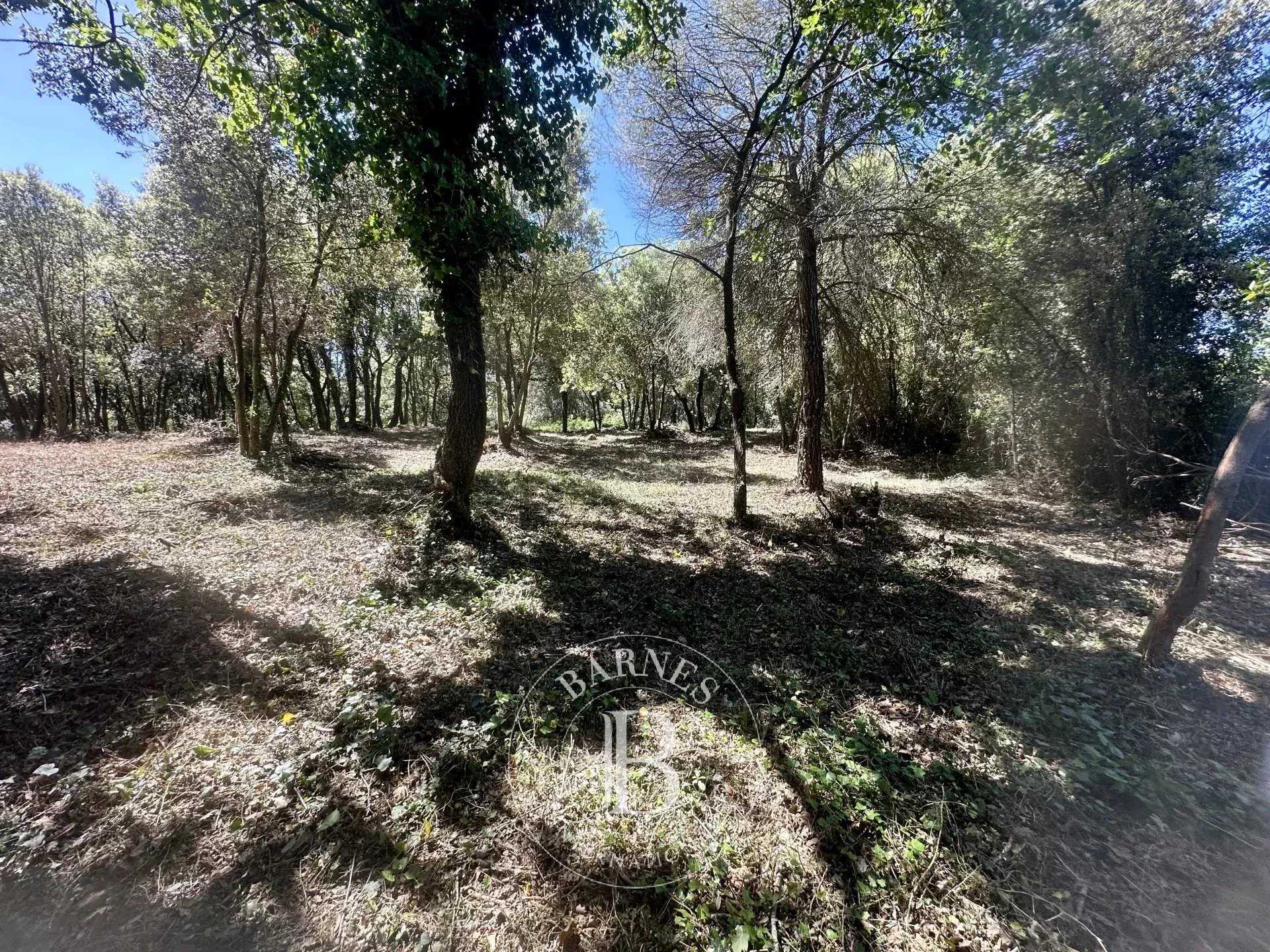 Biot  - Building land 