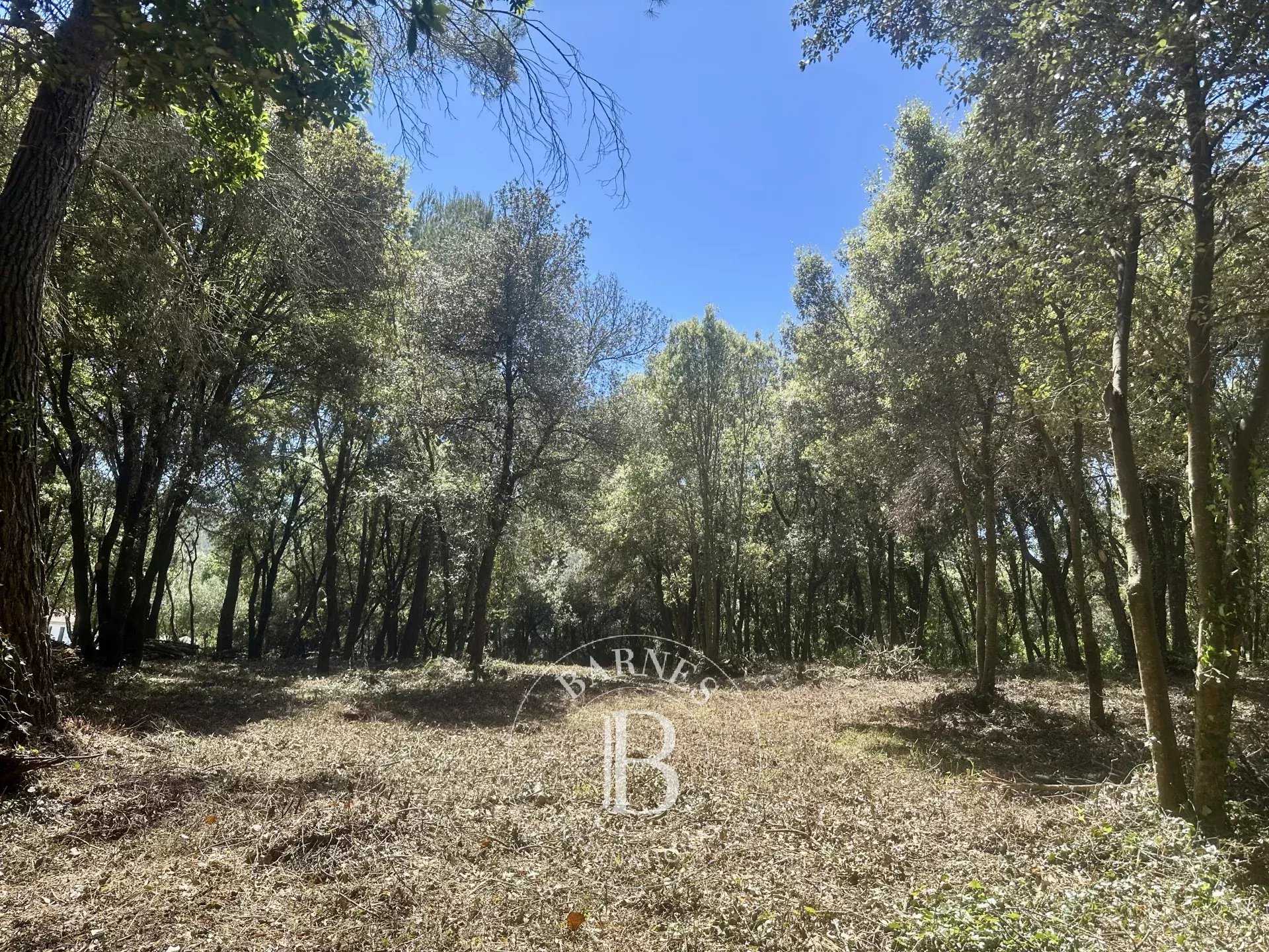 Biot  - Building land 