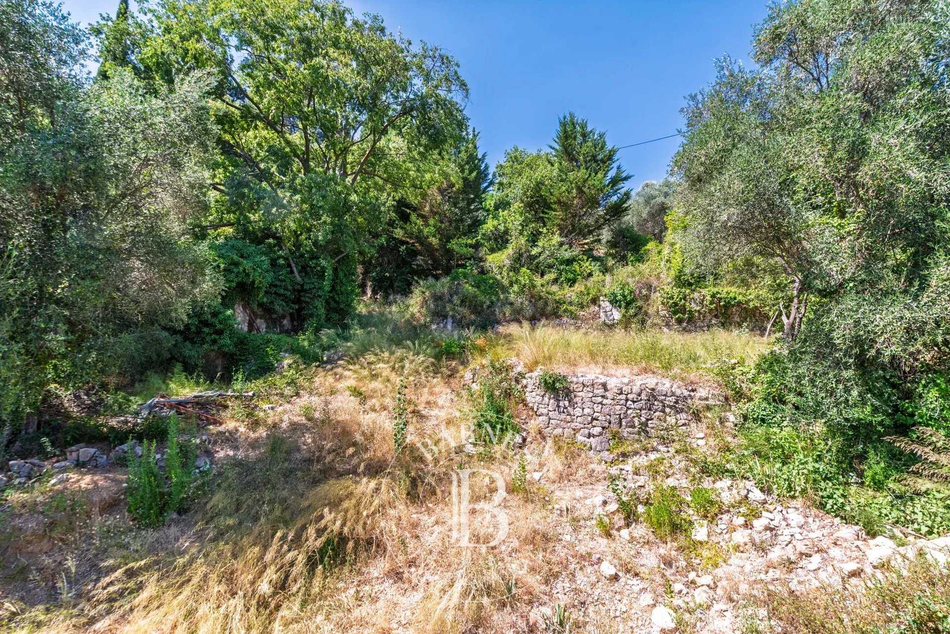 Grasse  - Plot of land 