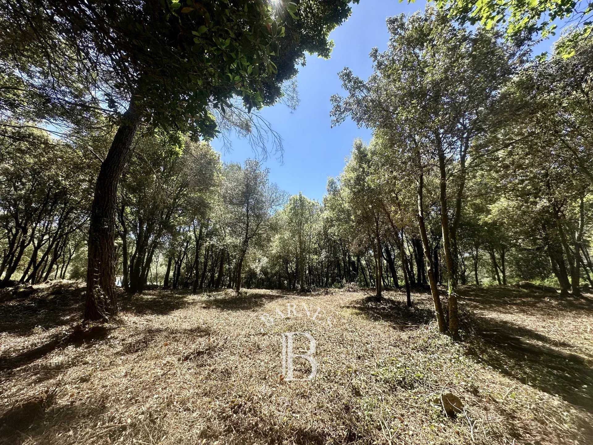 Building land Biot  -  ref 85966502 (picture 3)