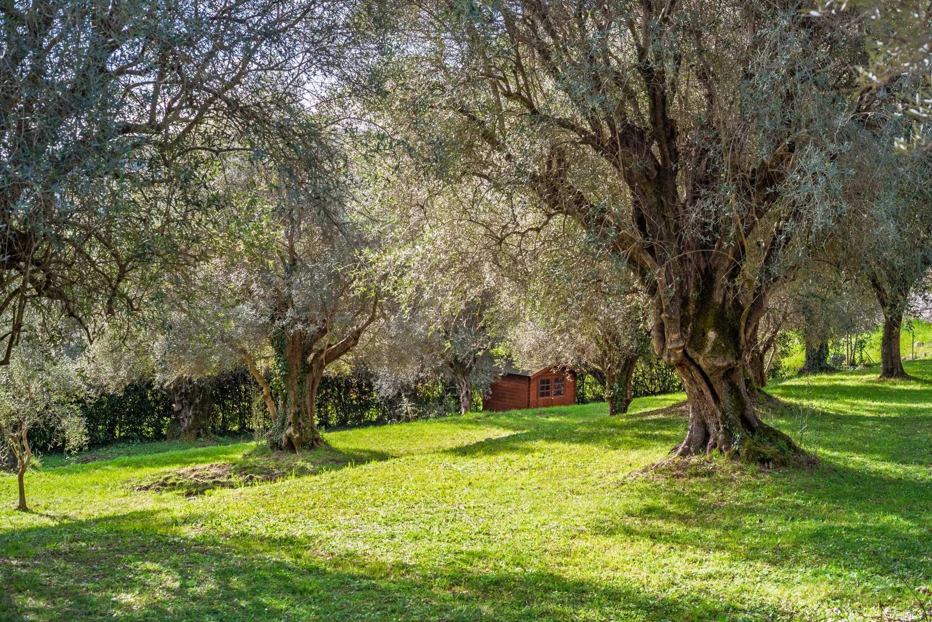 Propriété La Colle-sur-Loup  -  ref 85469510 (picture 3)