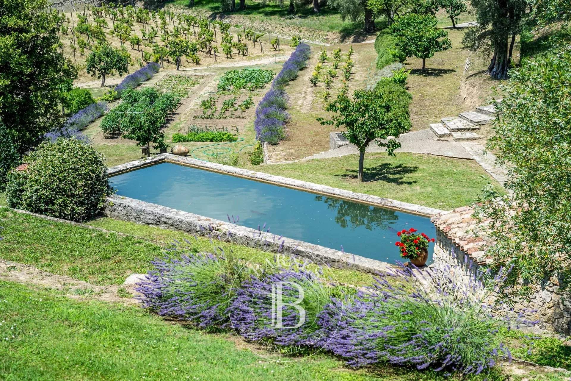 Grasse  - Propriété  - picture 11