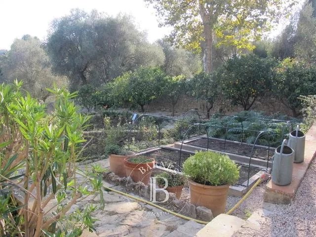 Valbonne - Unique property walking distance from village - 17th century Monastery - 10 hectares picture 5
