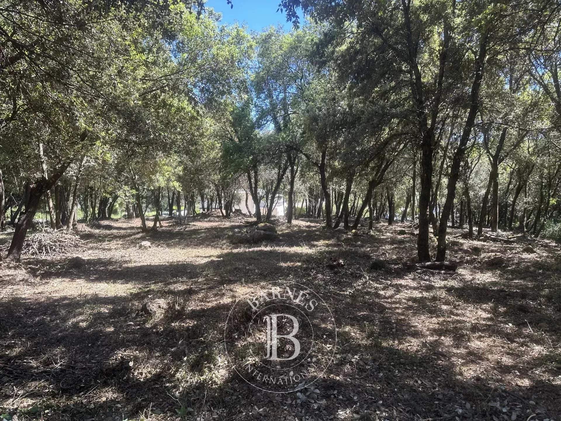 Biot  - Building land  - picture 13