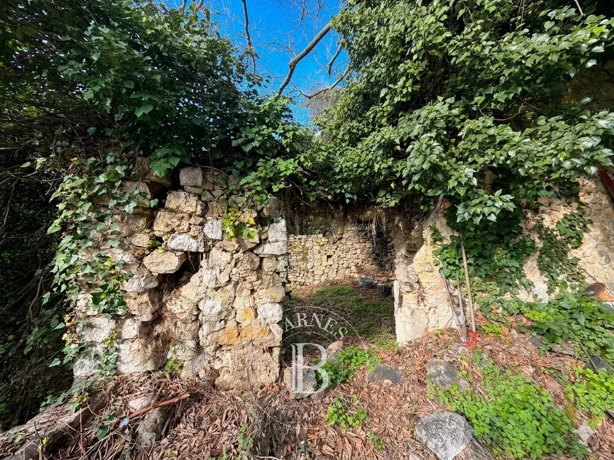 Grasse  - Terrain  - picture 8