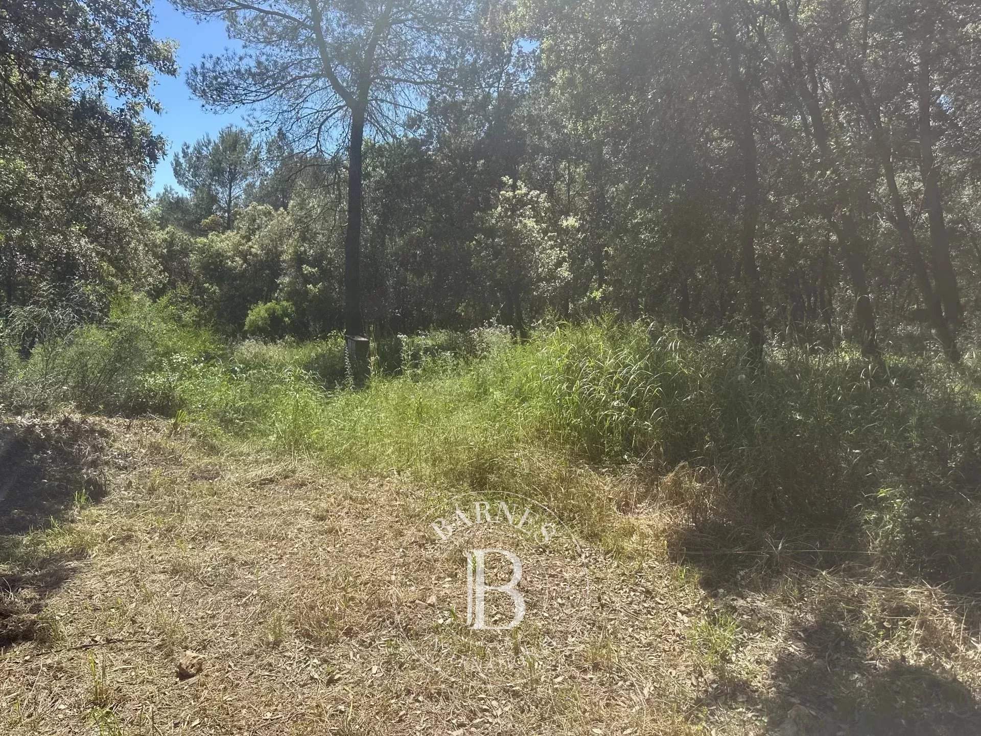 Biot  - Building land  - picture 15