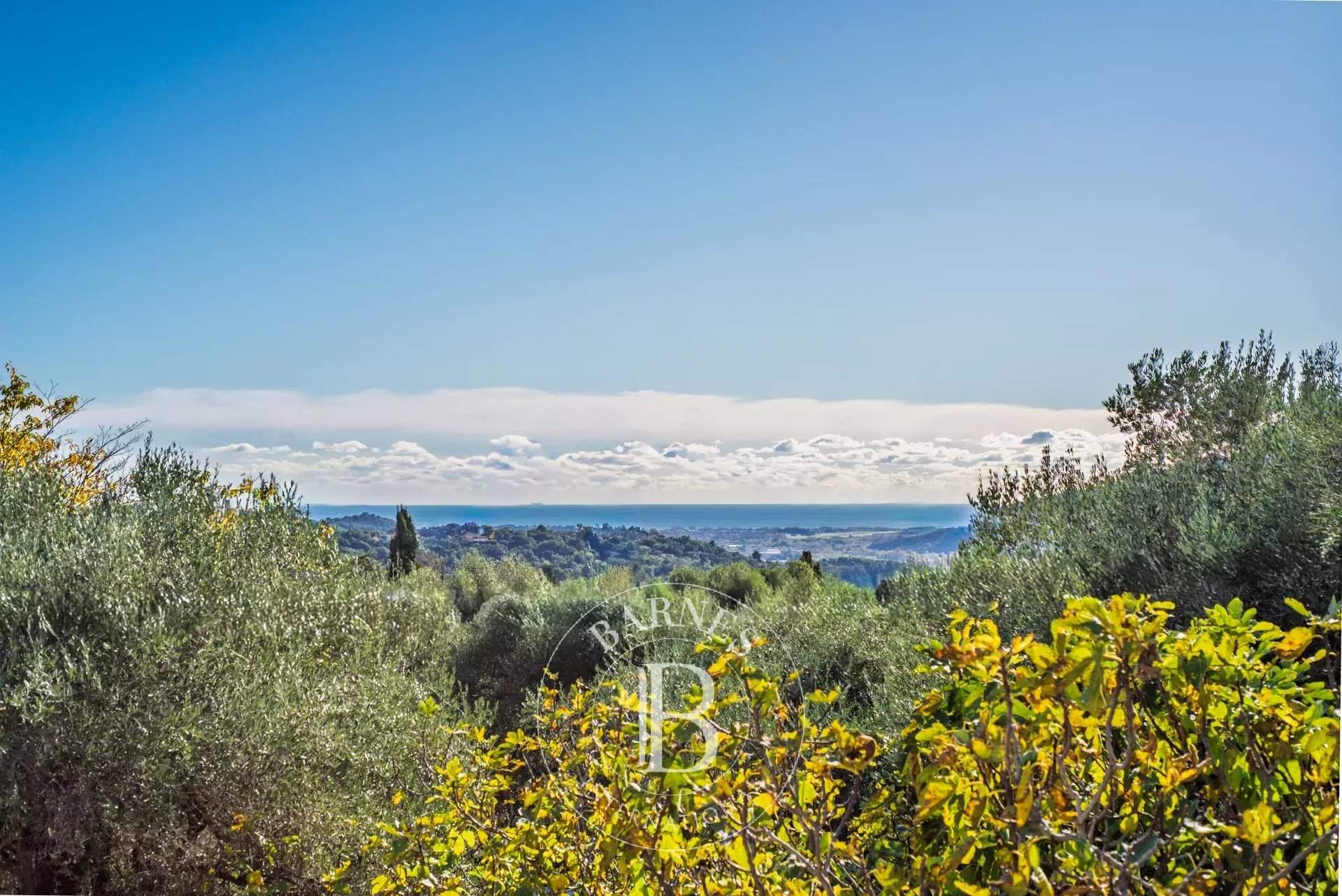 Grasse  - Villa 8 Pièces 6 Chambres - picture 14