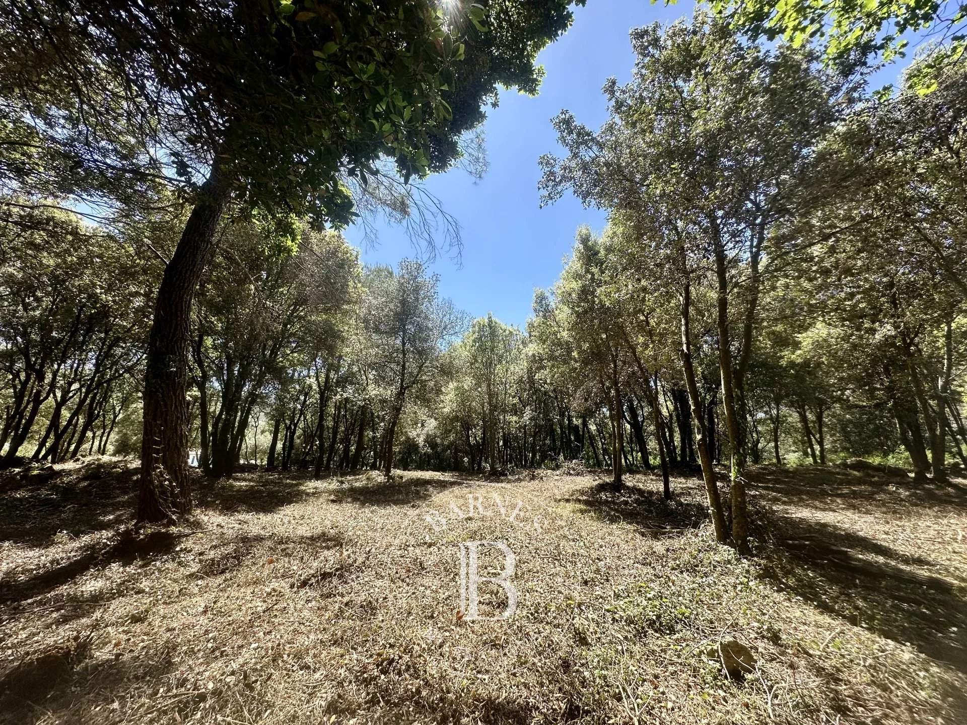 Biot  - Building land  - picture 3