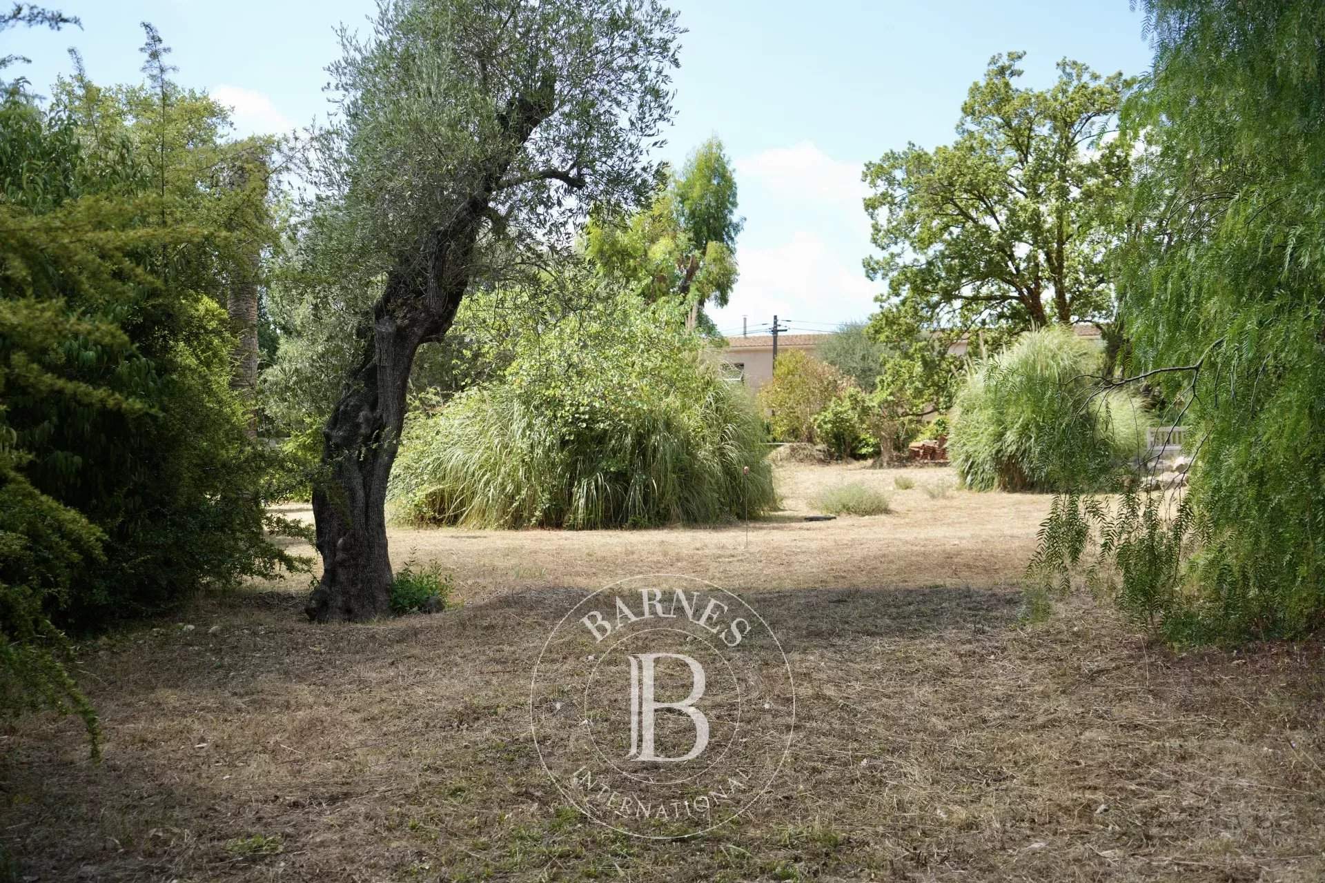 Roquefort-les-Pins  - Building land  - picture 17