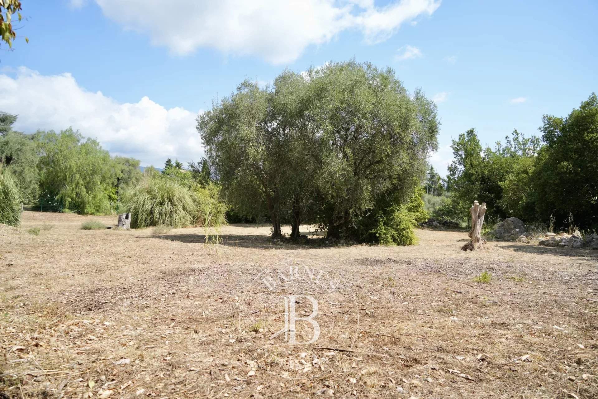 Roquefort-les-Pins  - Building land  - picture 5