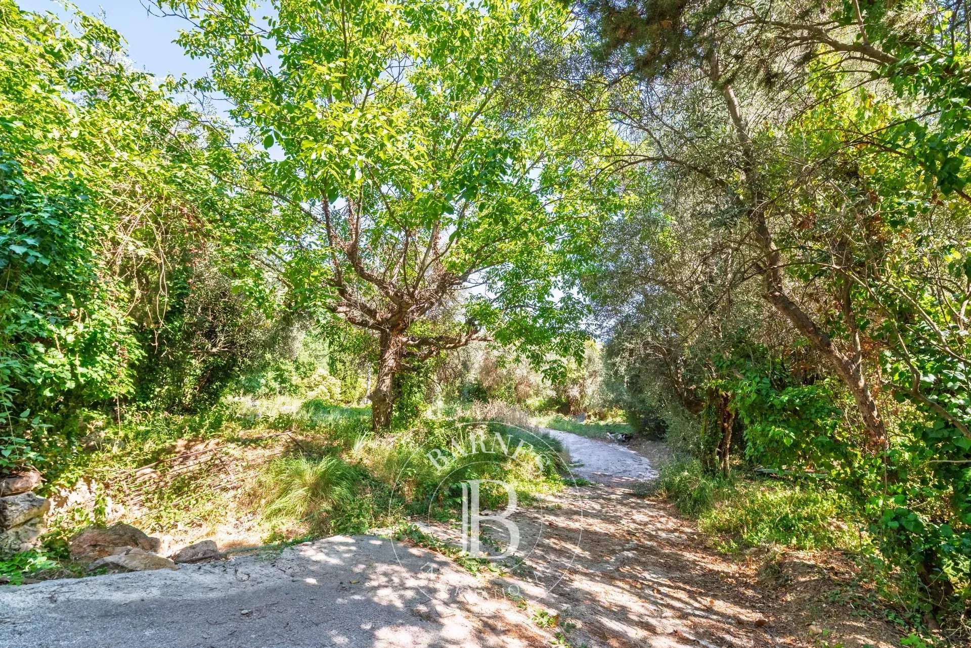 Grasse  - Plot of land  - picture 9