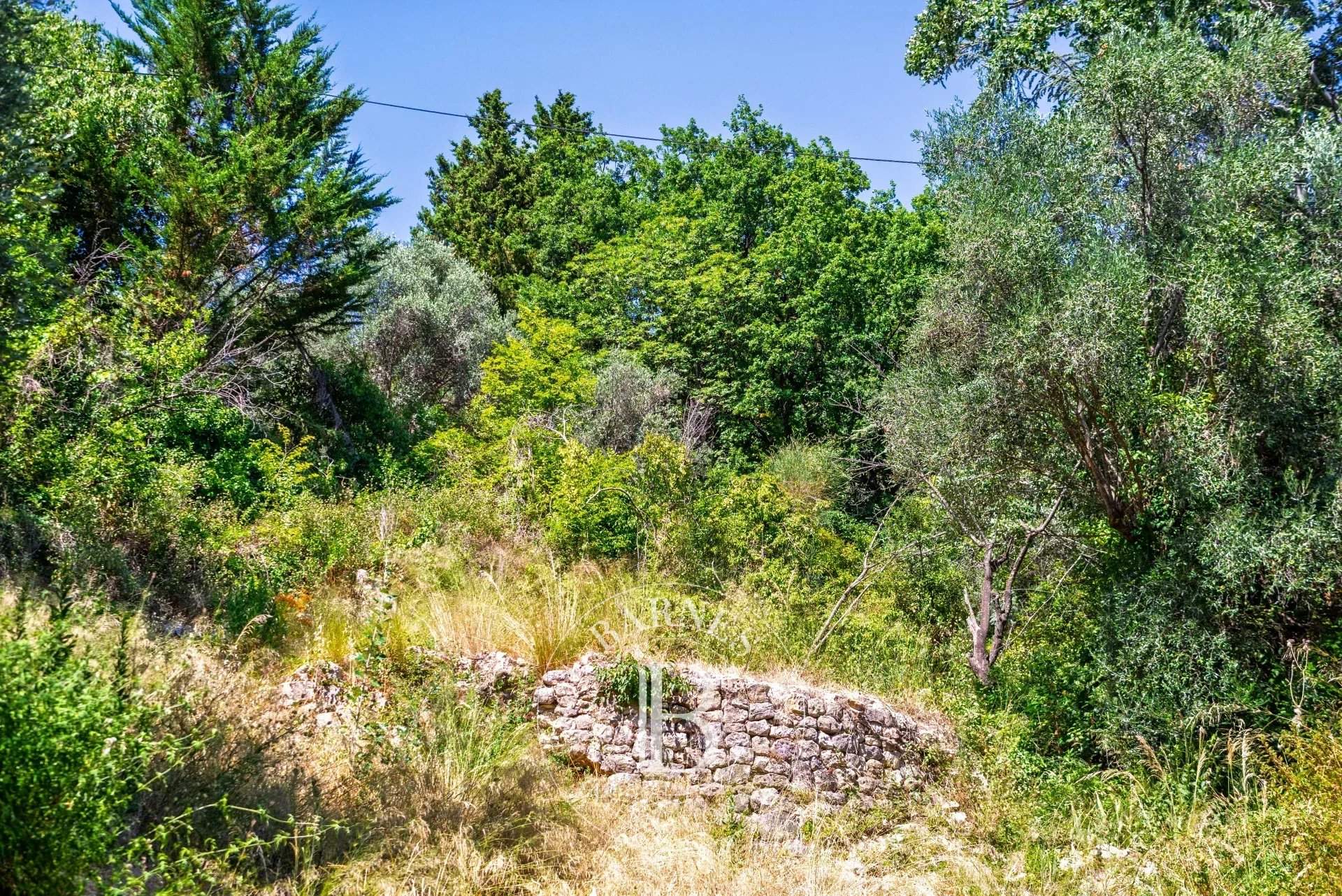 Grasse  - Plot of land  - picture 8